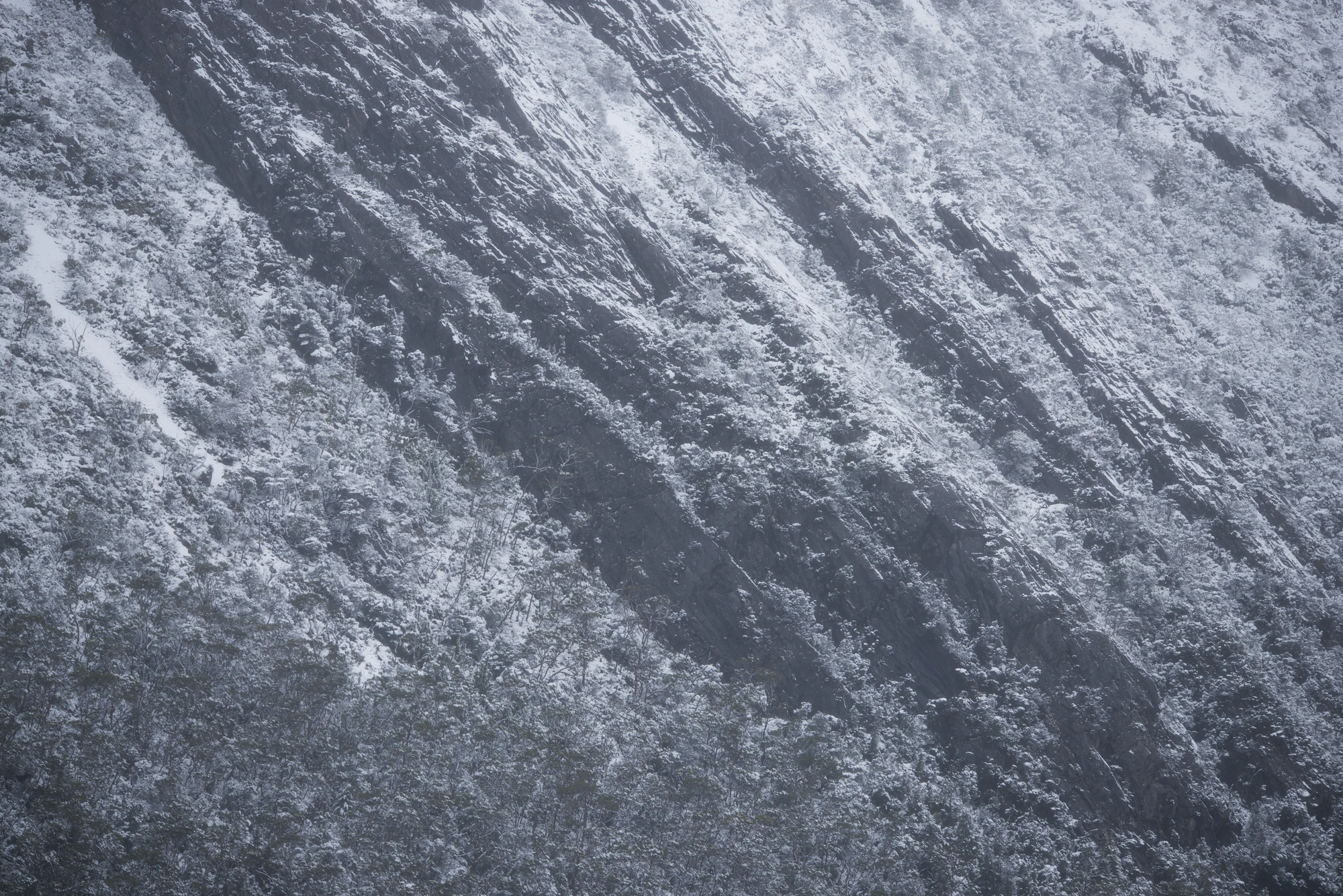 194 — Скачать