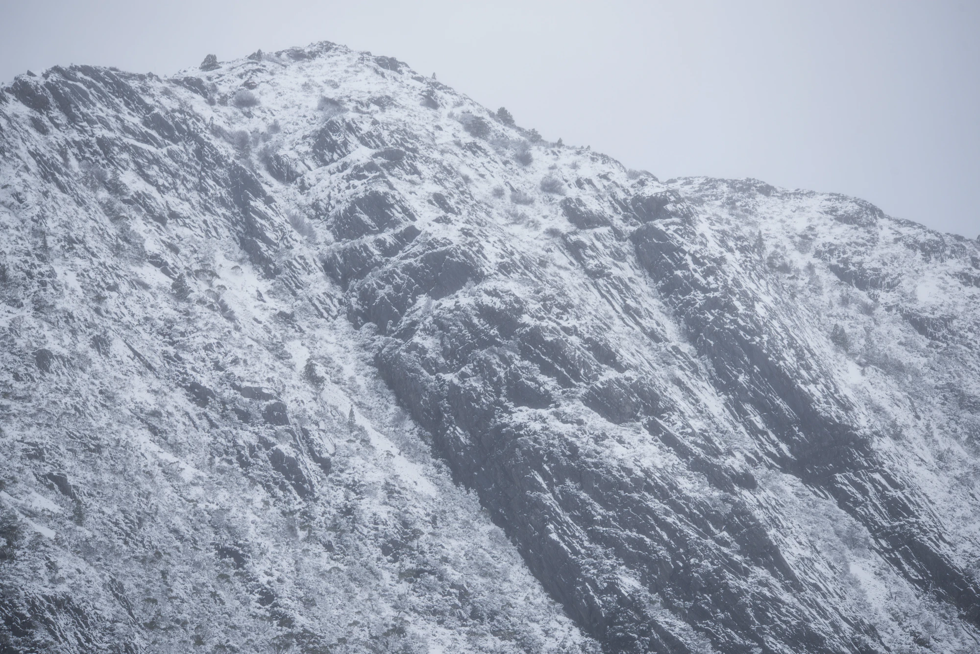 195 — Скачать