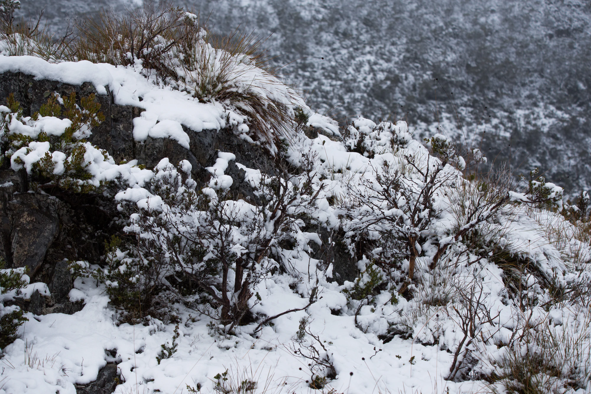 197 — Скачать