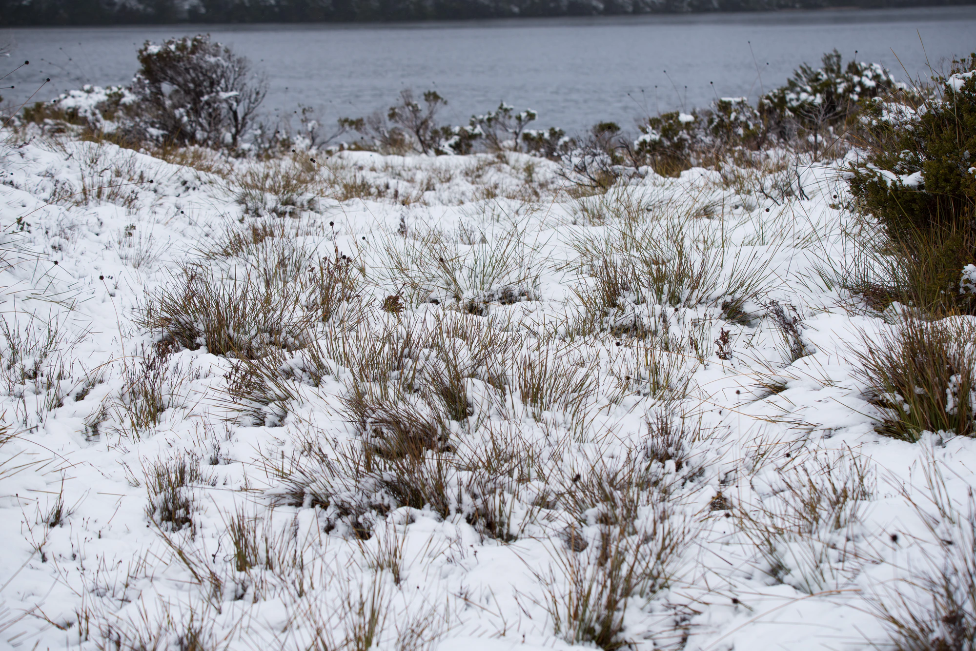 198 — Скачать