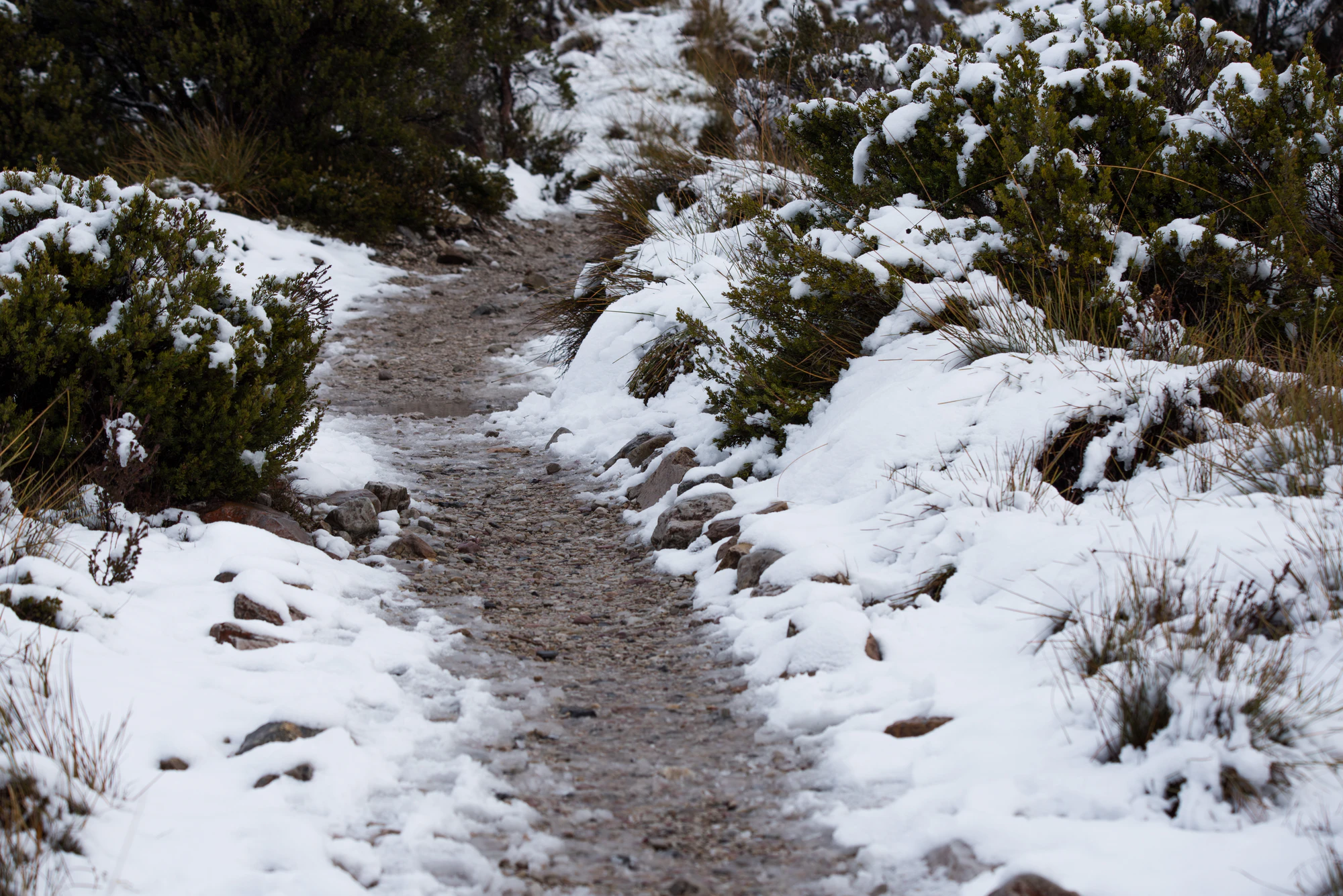 199 — Скачать