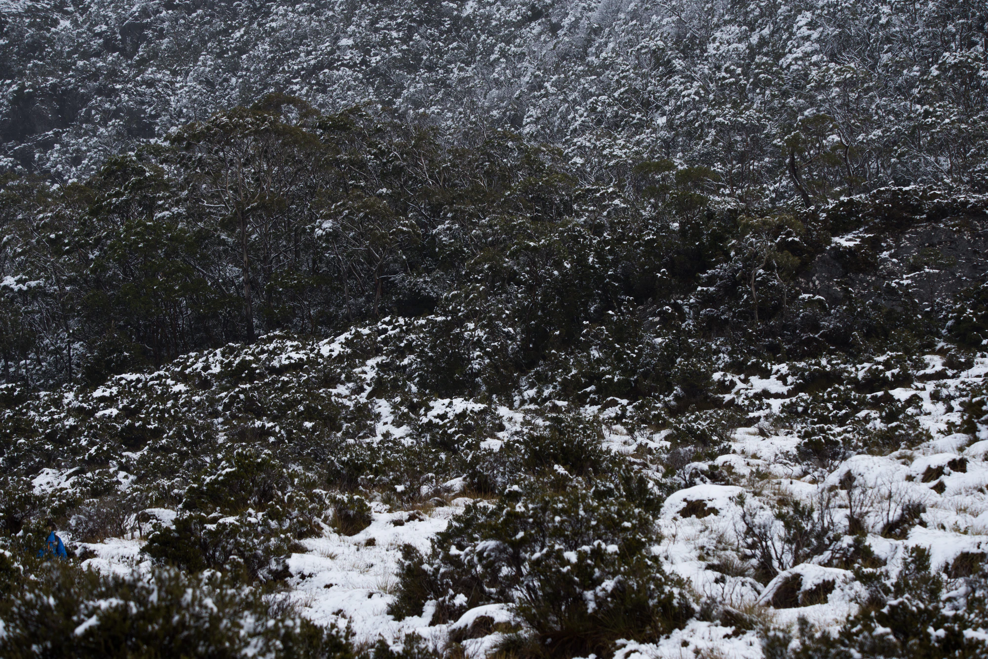 200 — Скачать