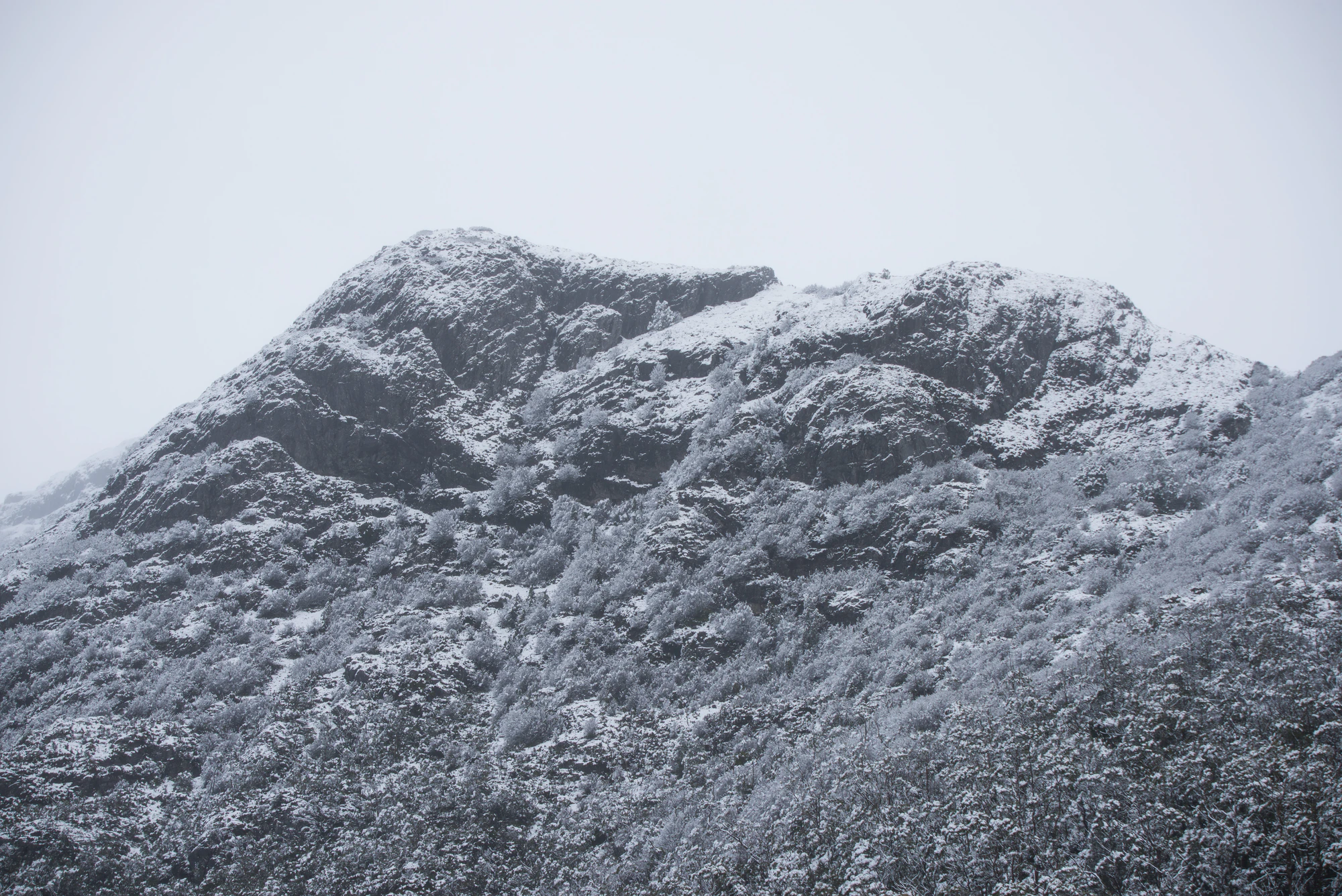 202 — Скачать