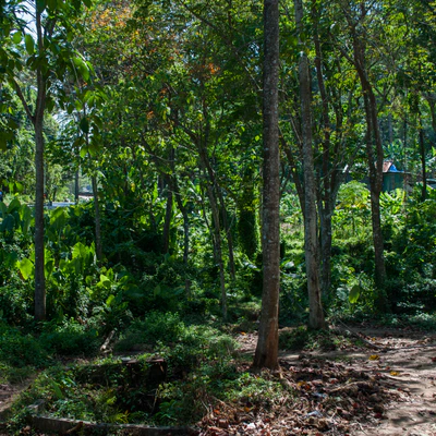 050 — Descargar