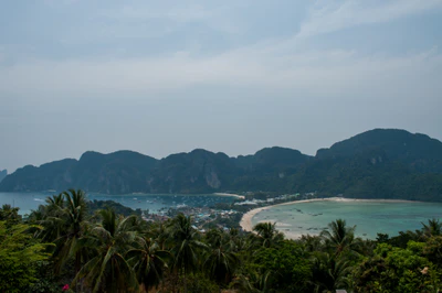089 — Descargar