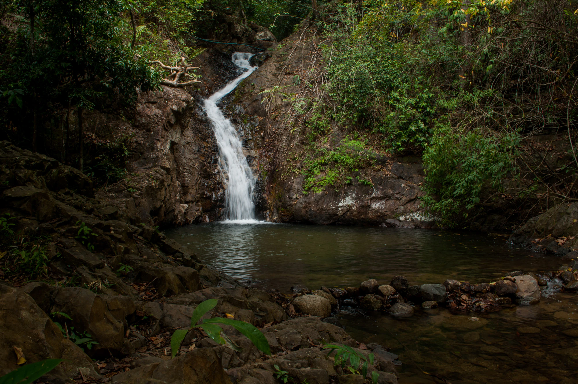106 — Скачать