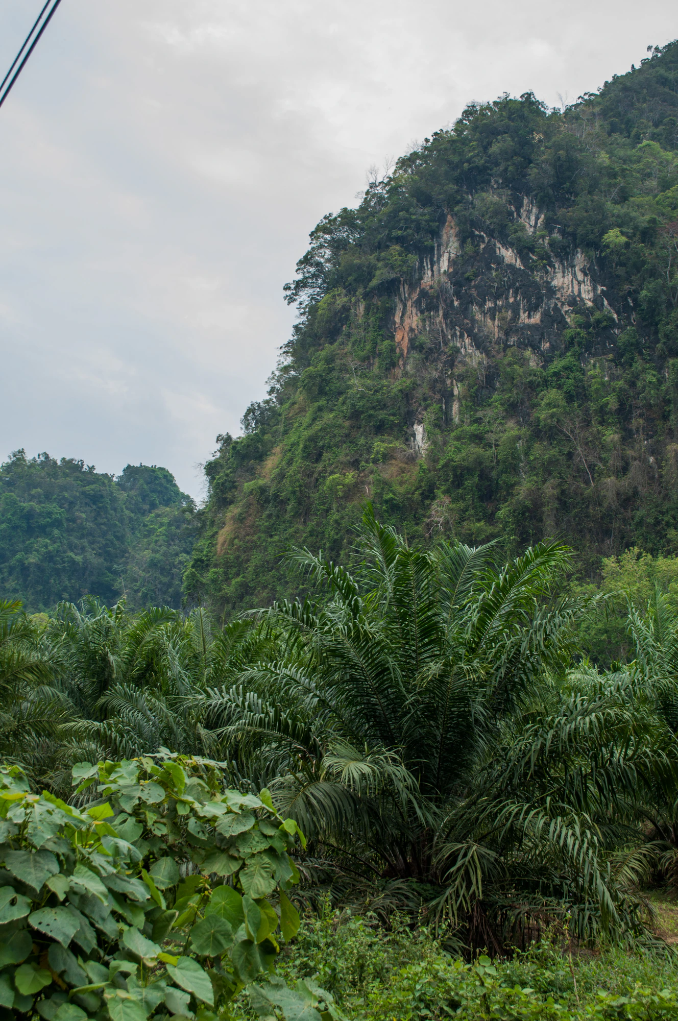 110 — Скачать