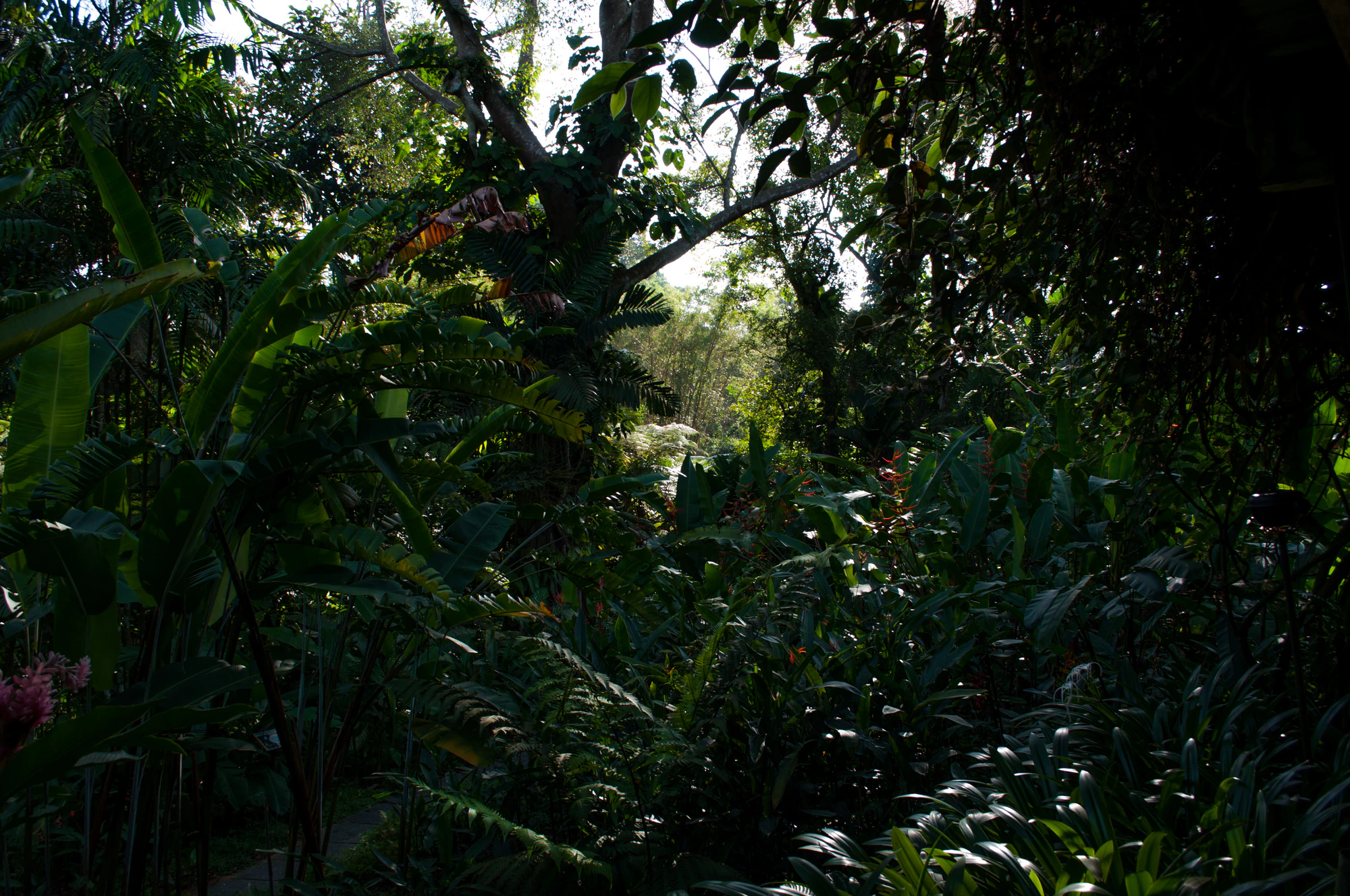 140 — Скачать