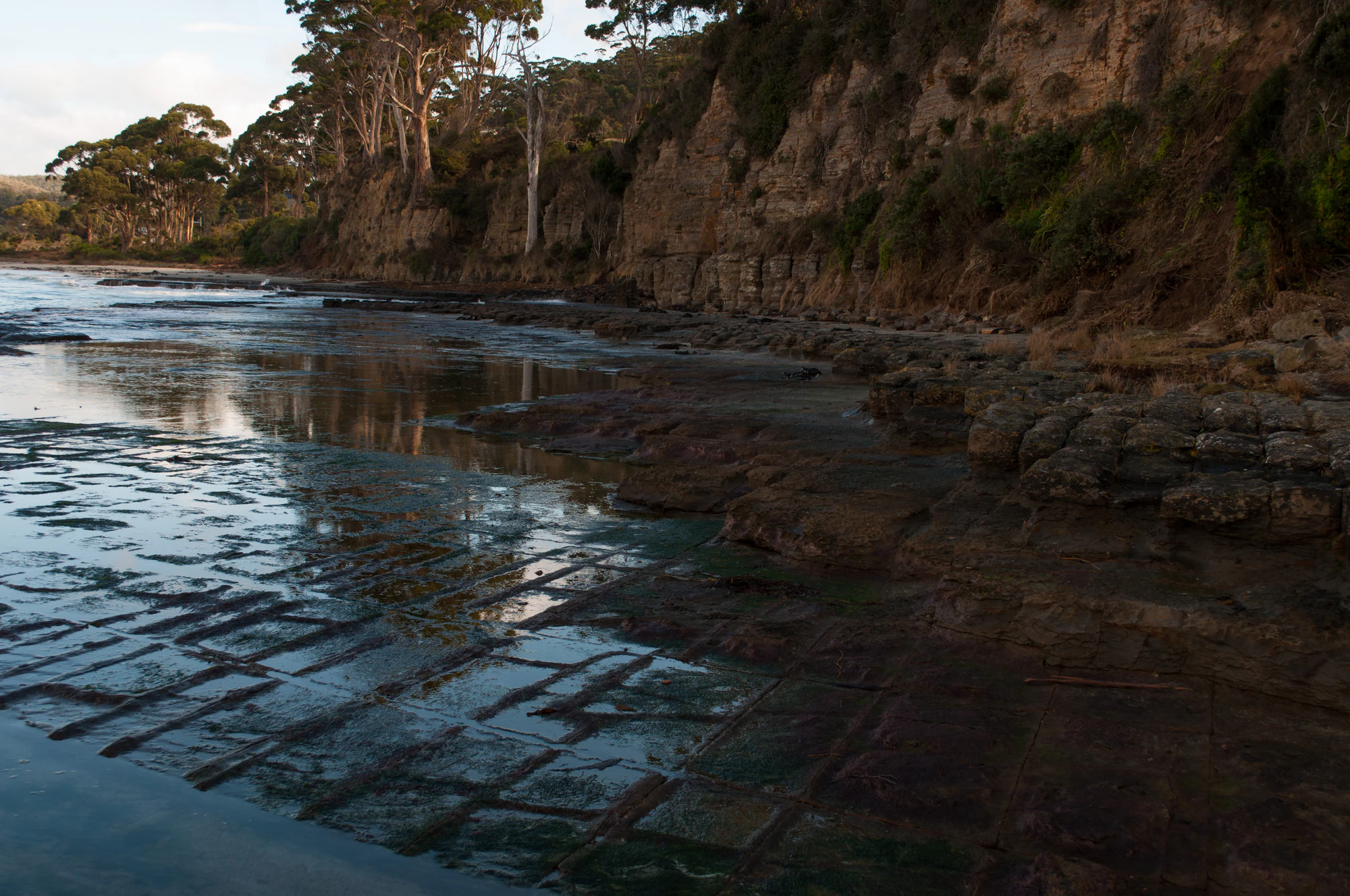 115 — Скачать