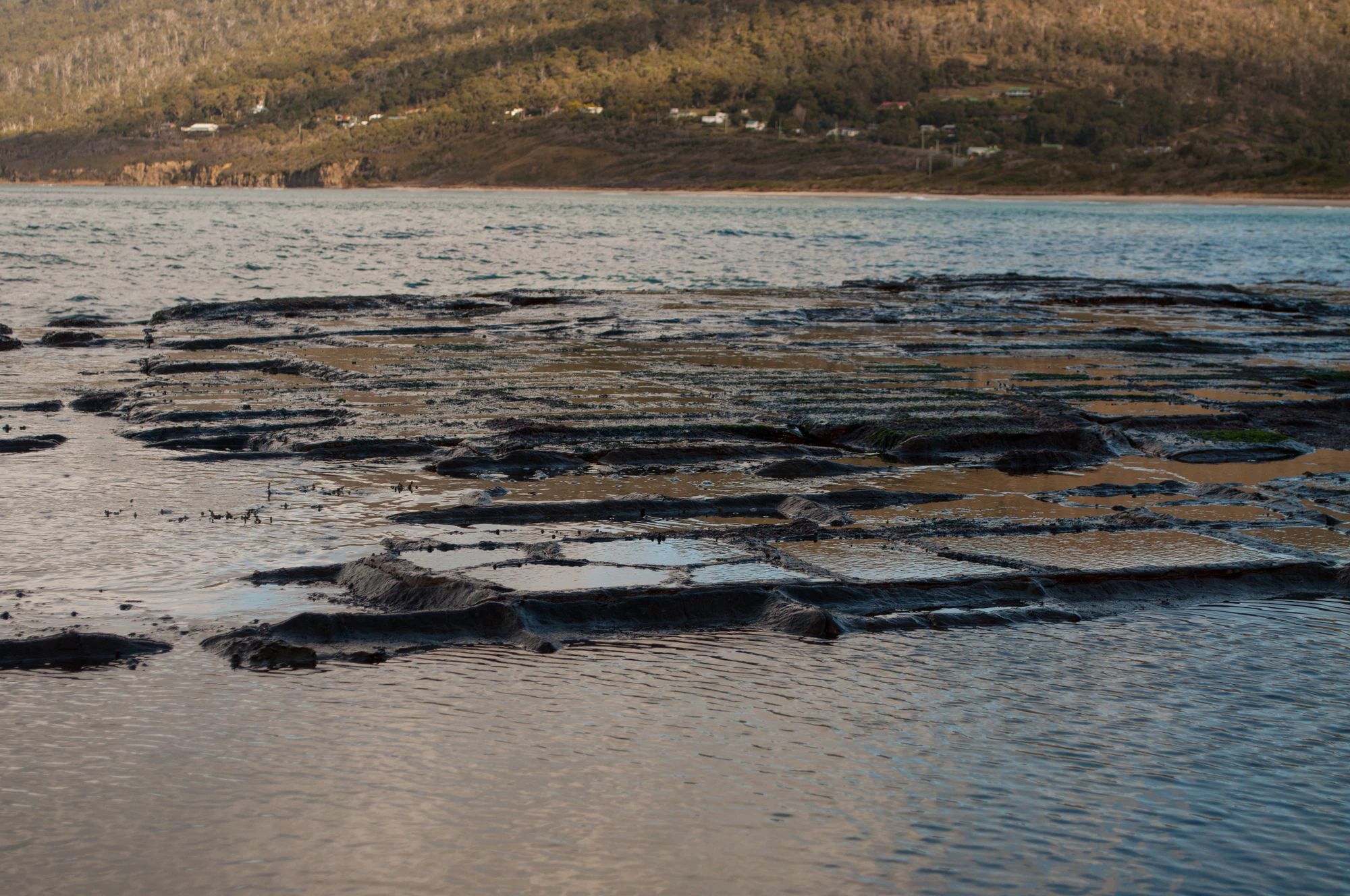 117 — Скачать