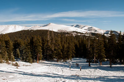 501 — Скачать