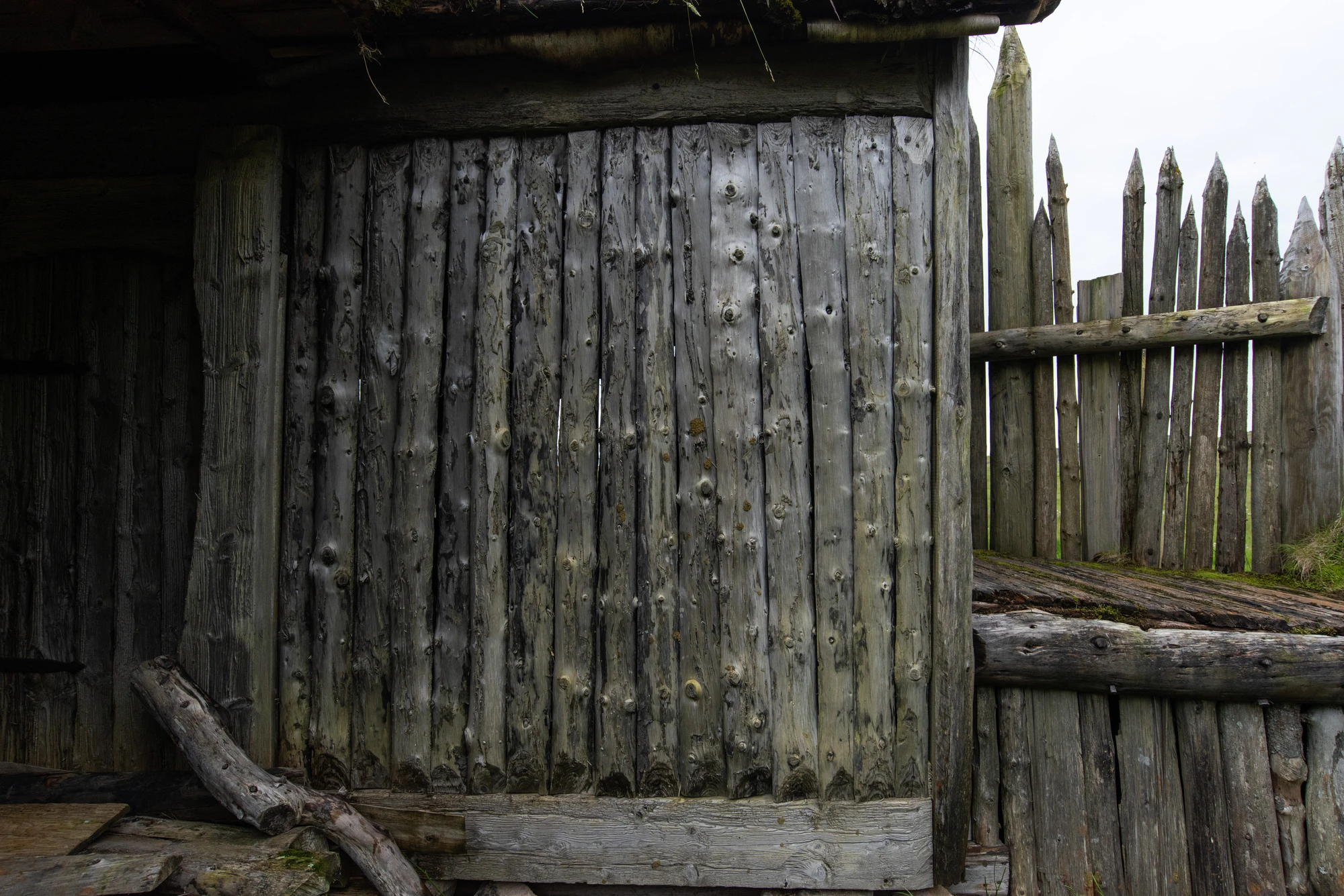 146 — Скачать