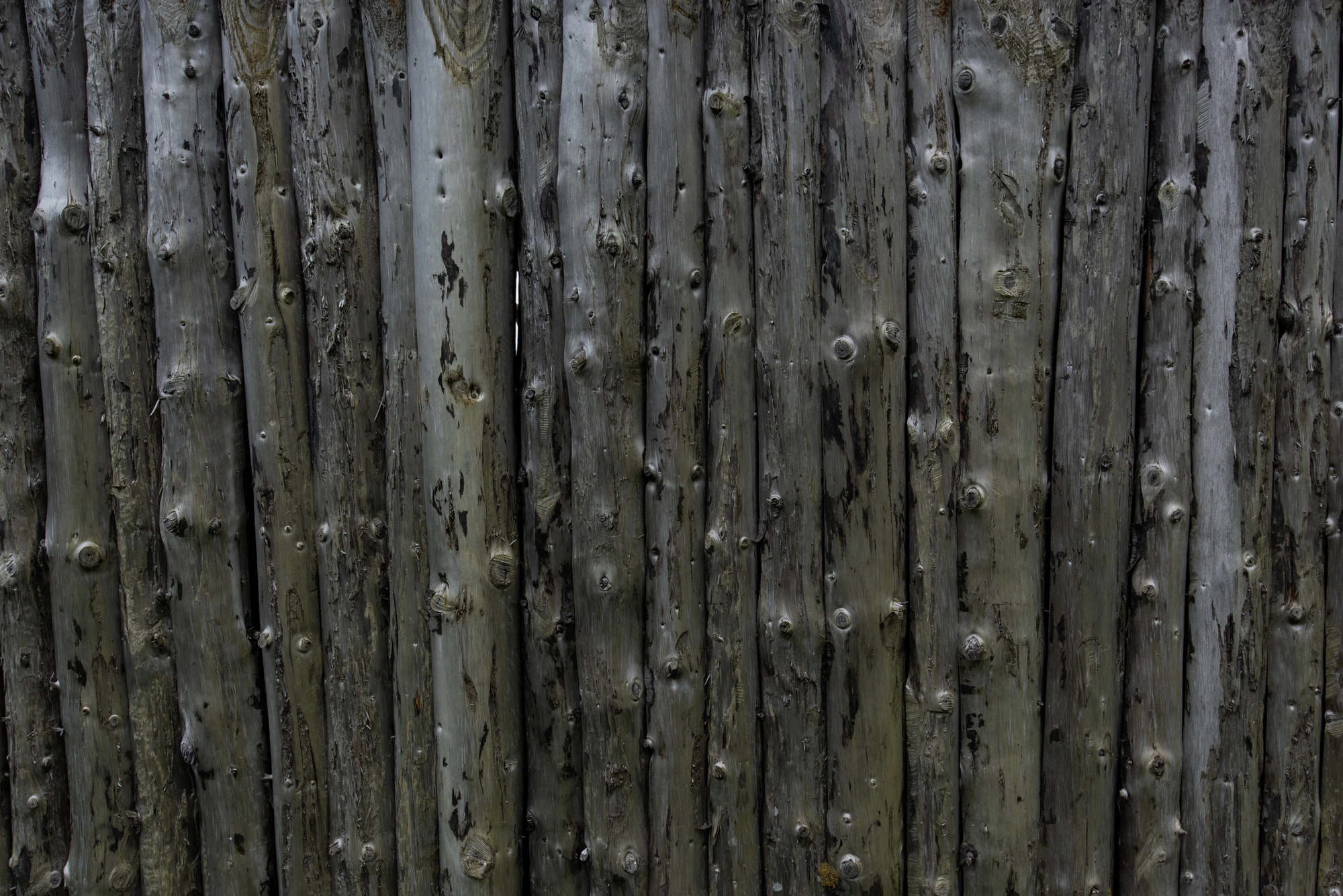 151 — Скачать