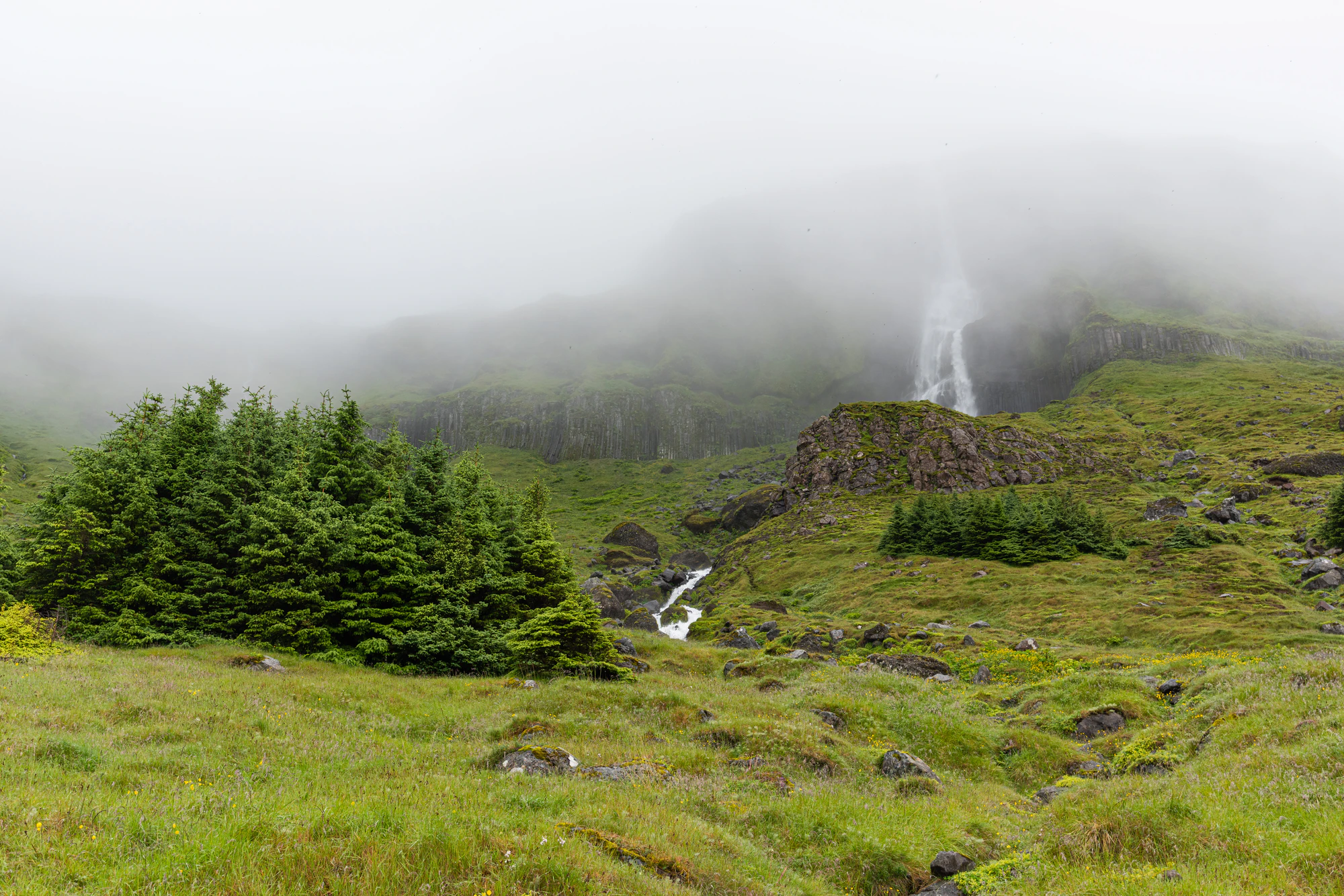 166 — Скачать