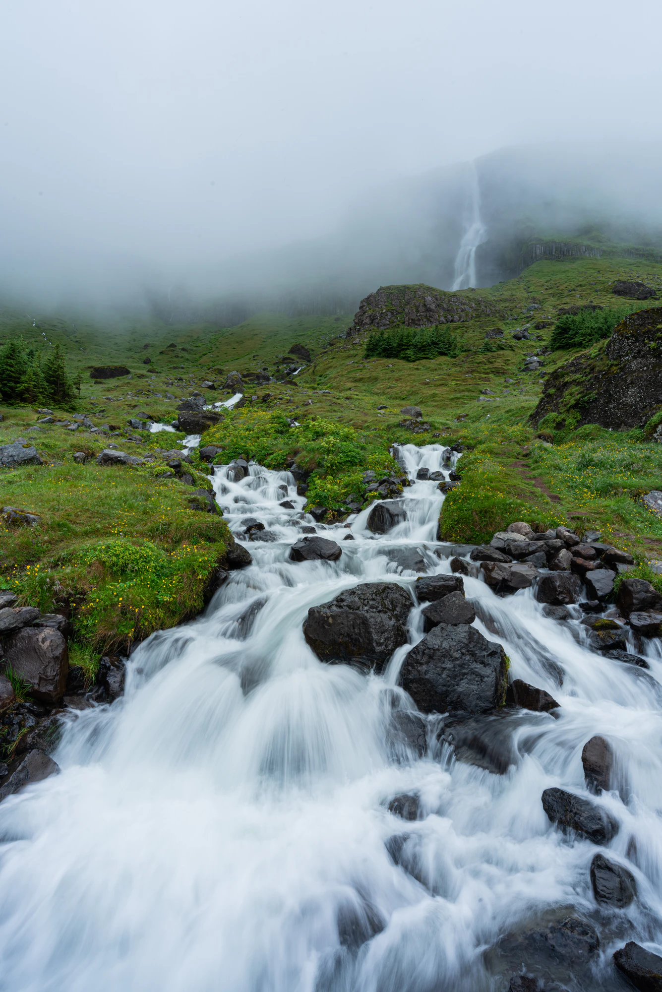 169 — Скачать