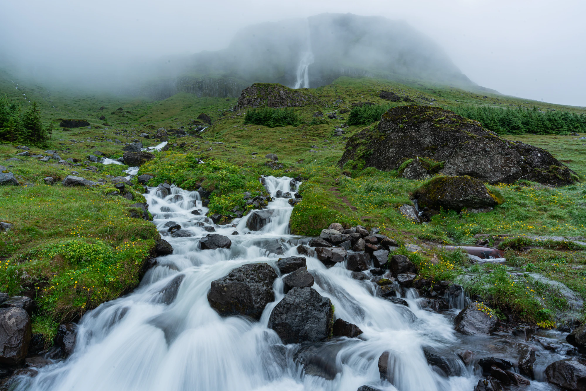 170 — Скачать