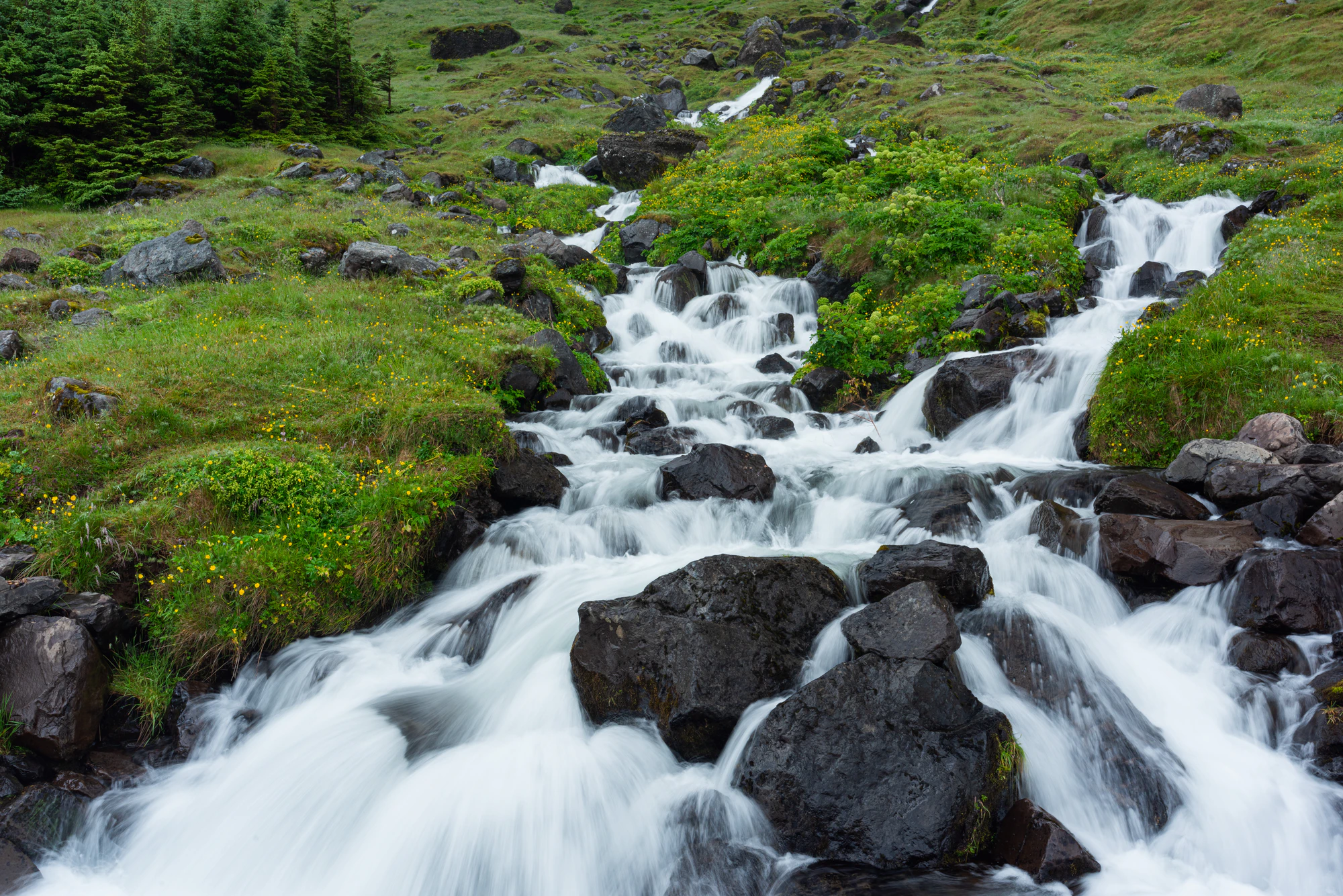 172 — Скачать