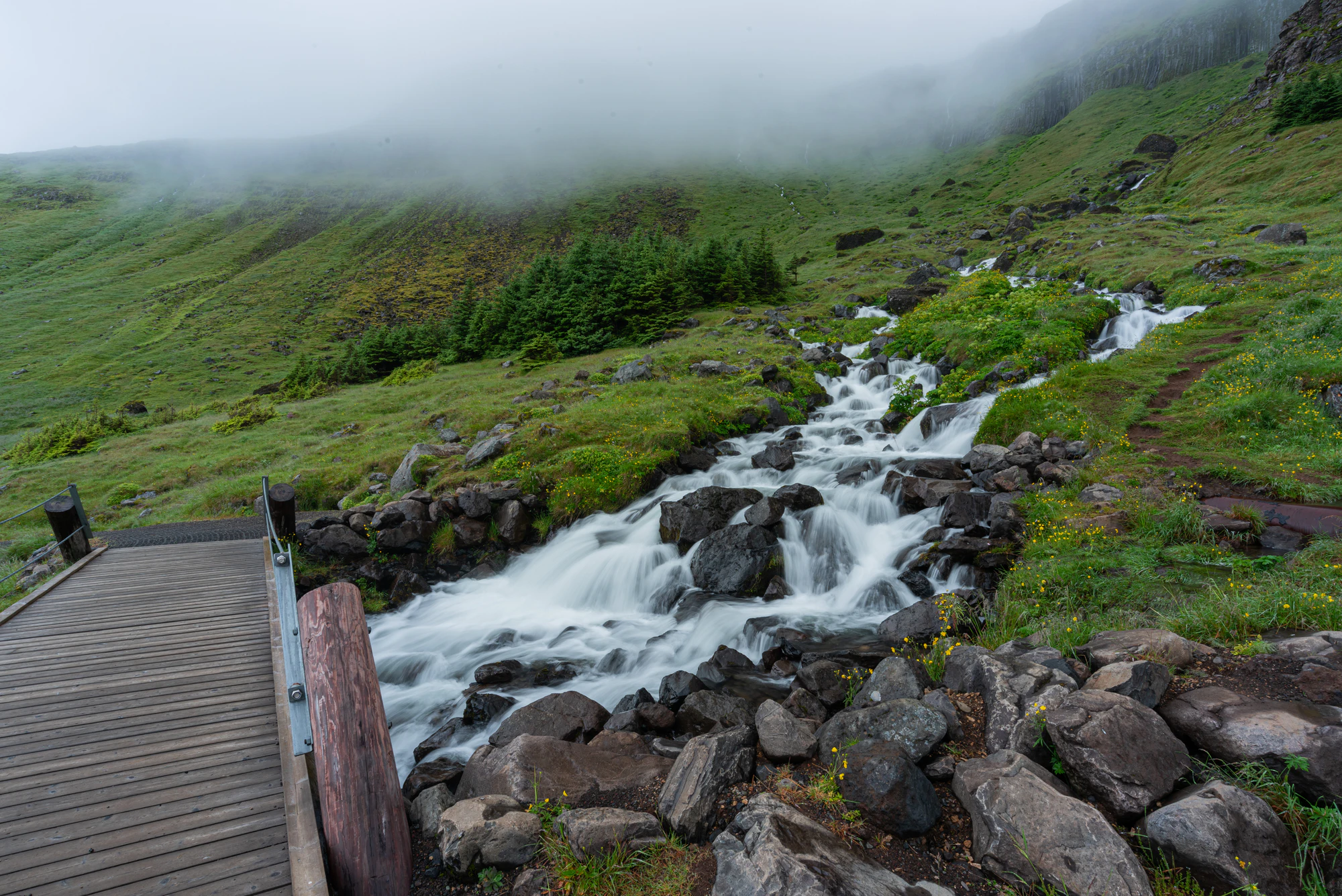 173 — Скачать