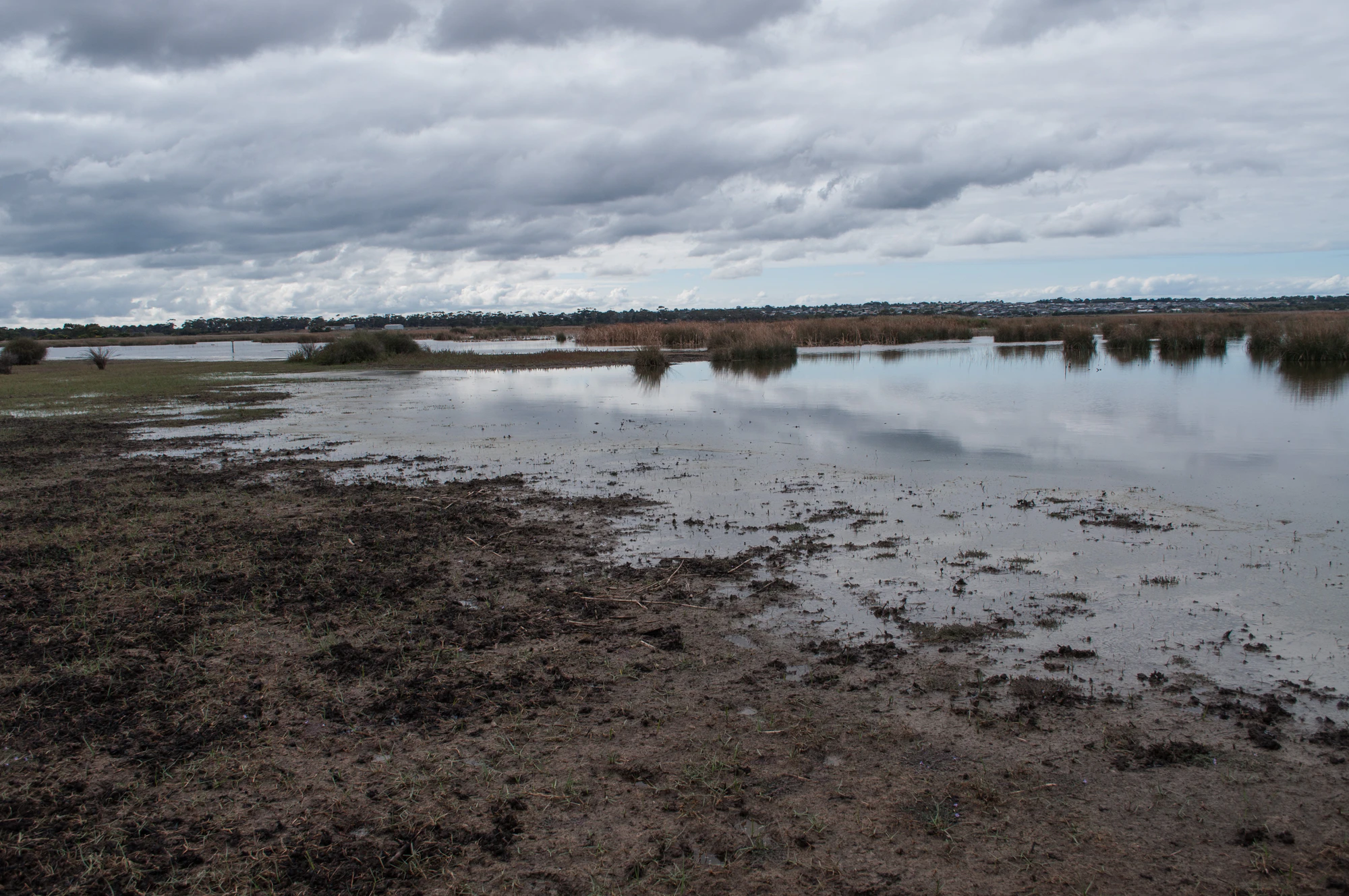 224 — Скачать