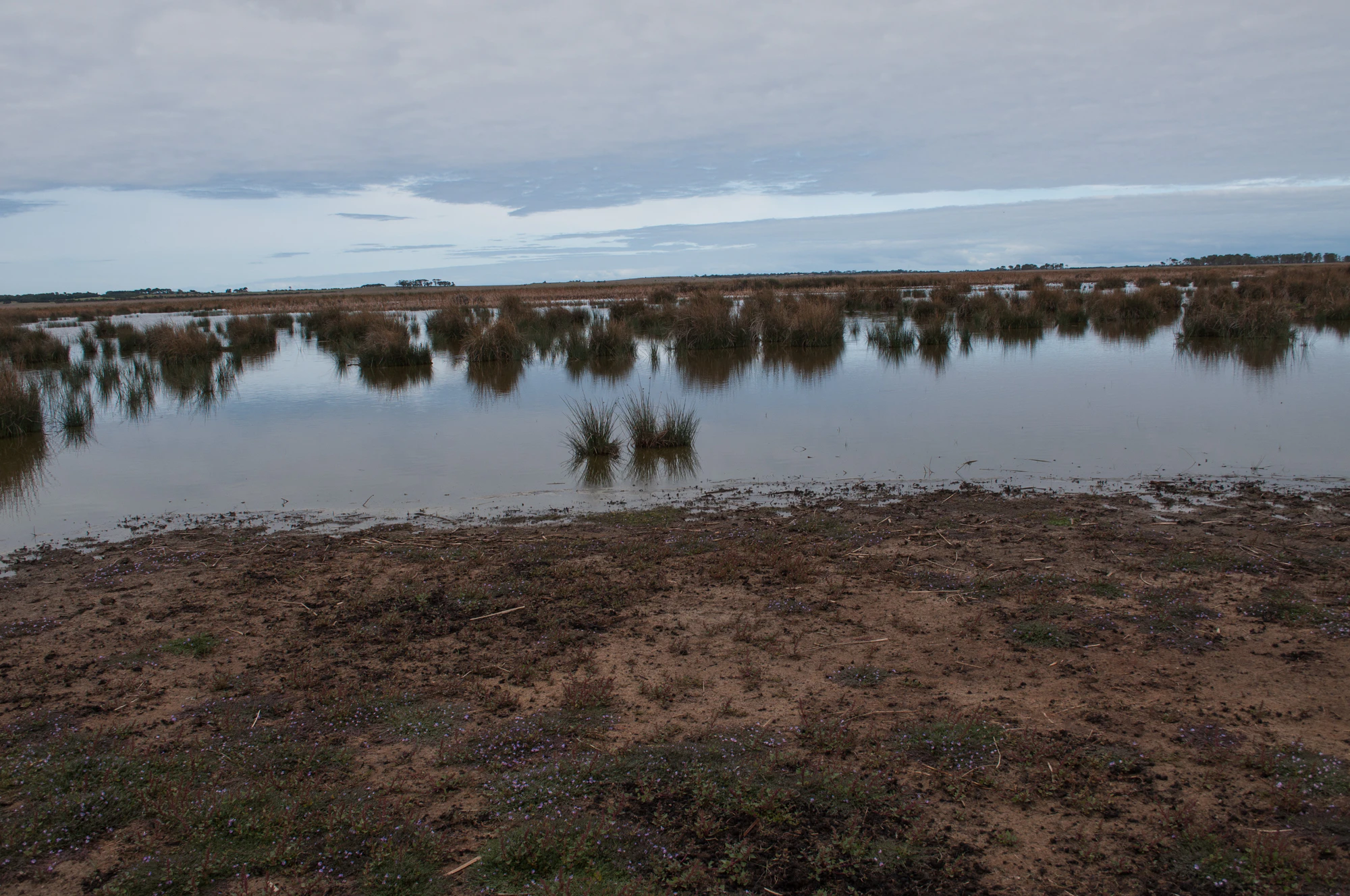 226 — Скачать