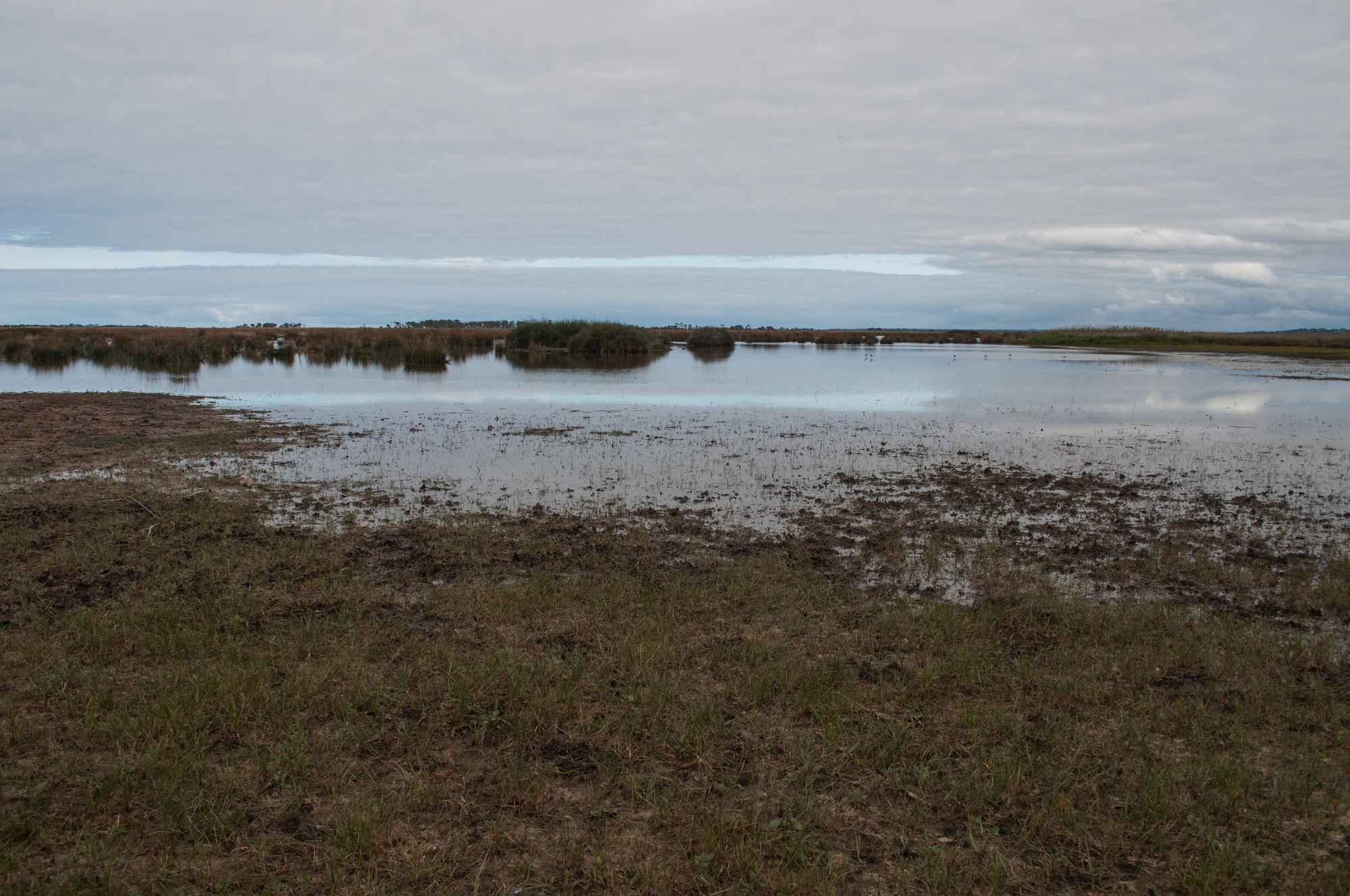 230 — Скачать