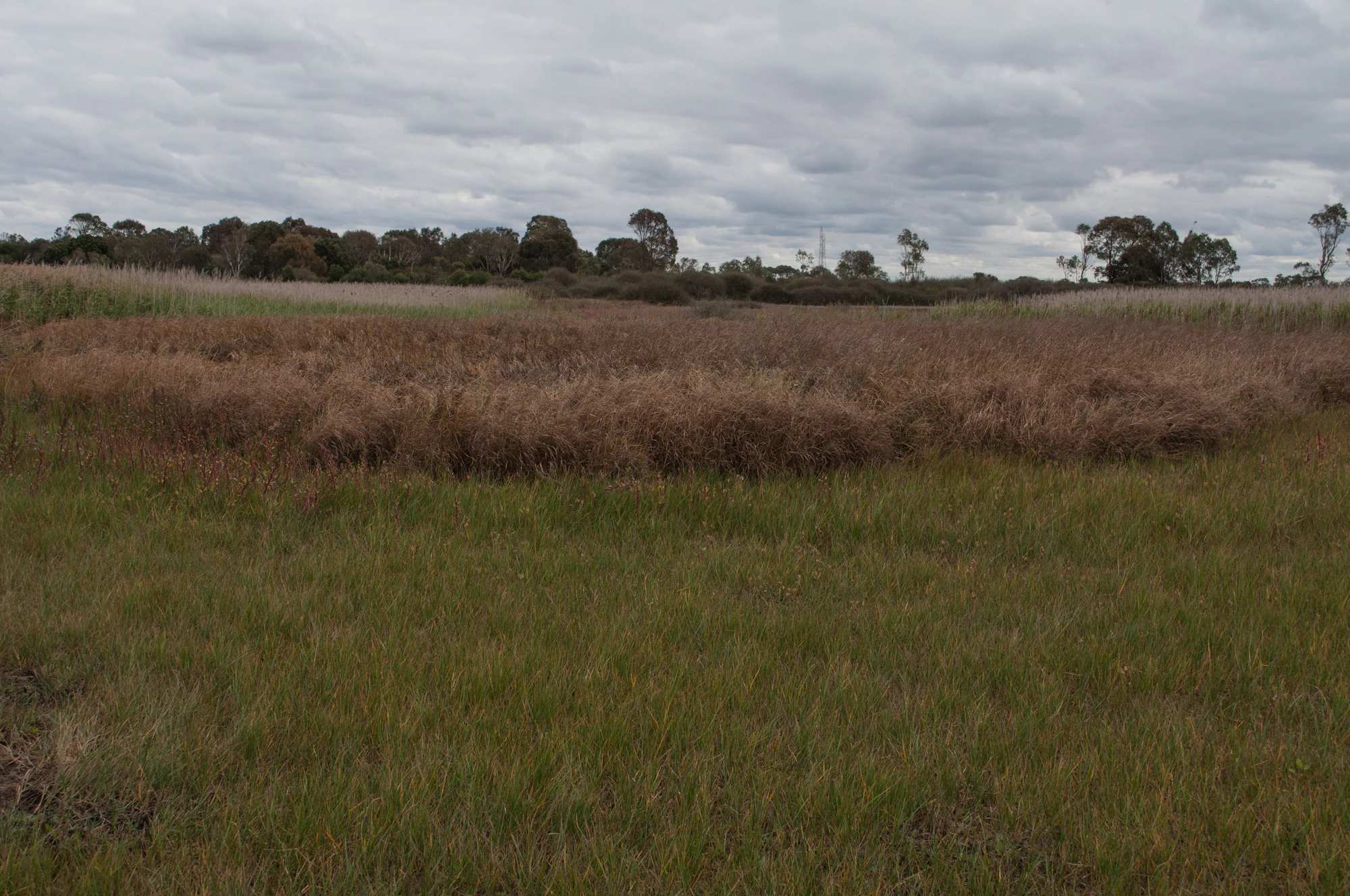 233 — Скачать