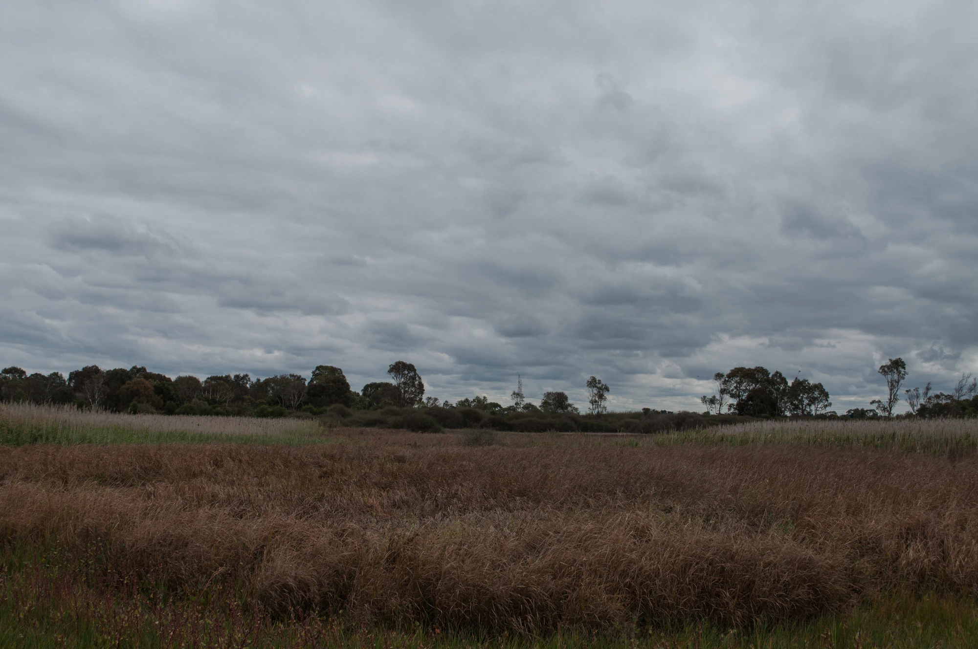 234 — Скачать