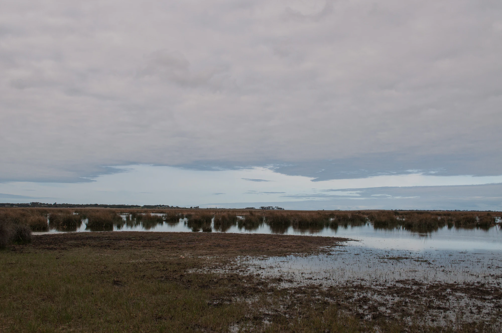 236 — Скачать