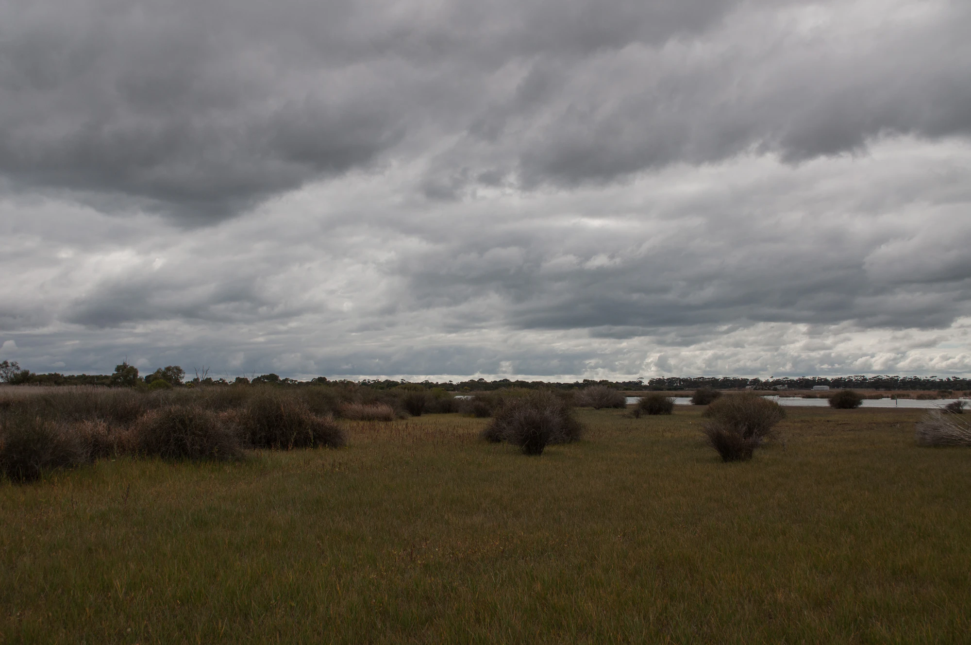 238 — Скачать