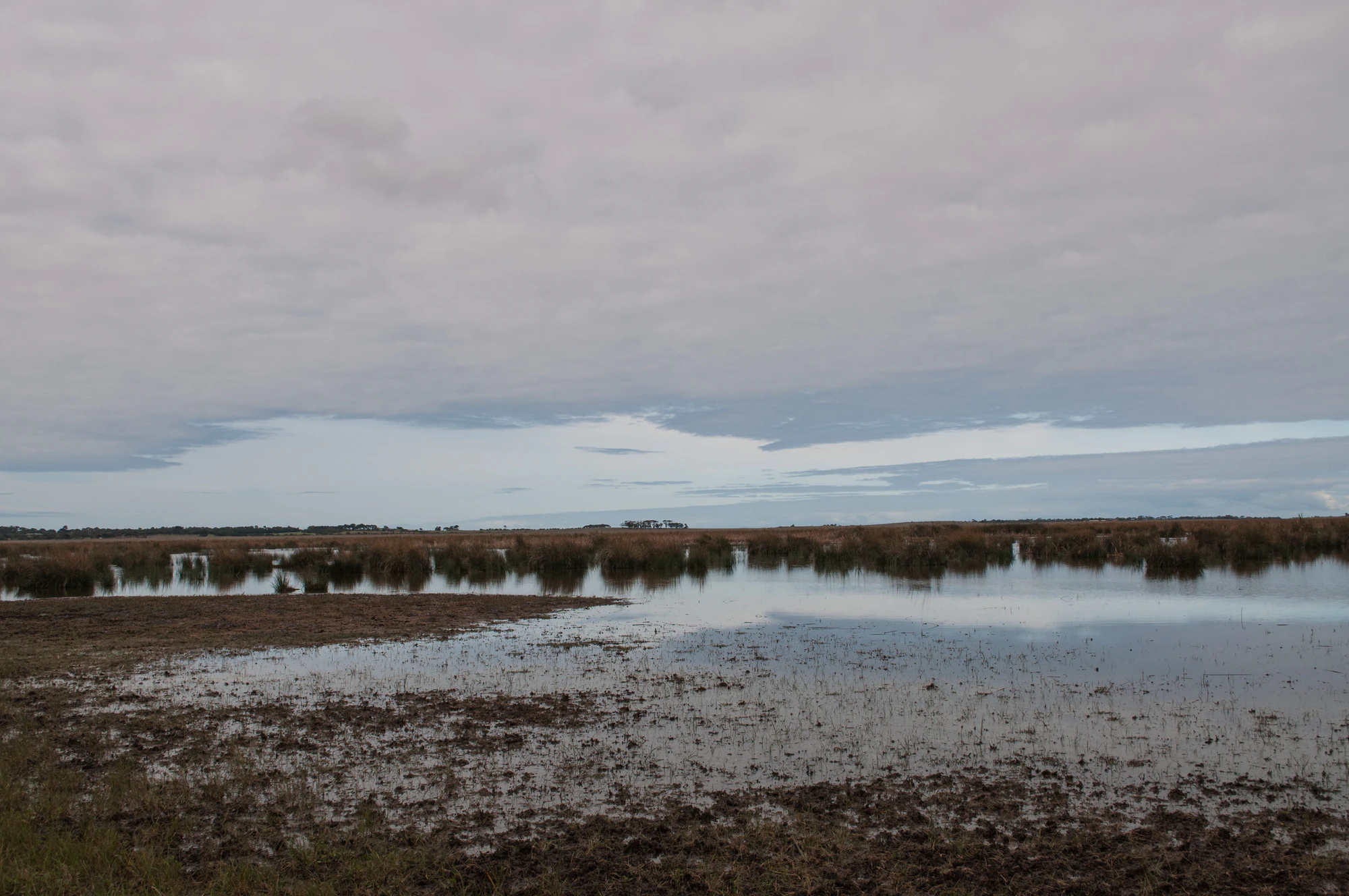 239 — Скачать