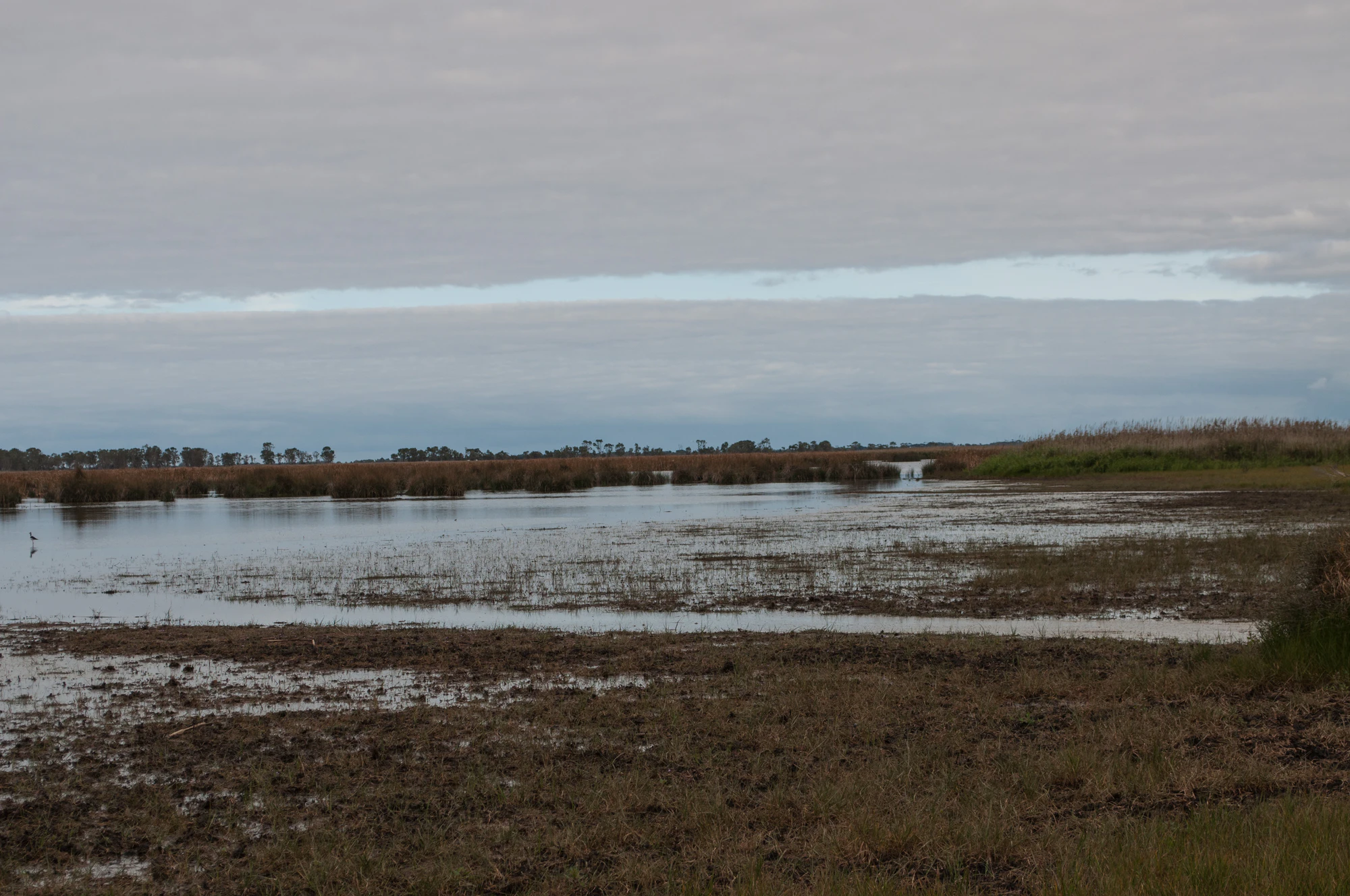 241 — Скачать