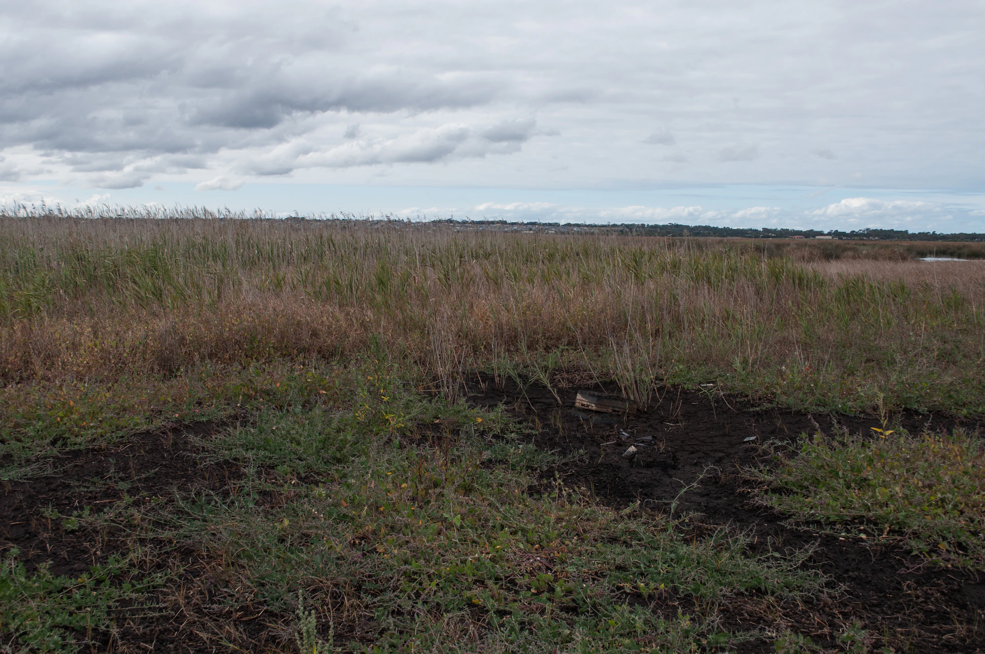 246 — Скачать