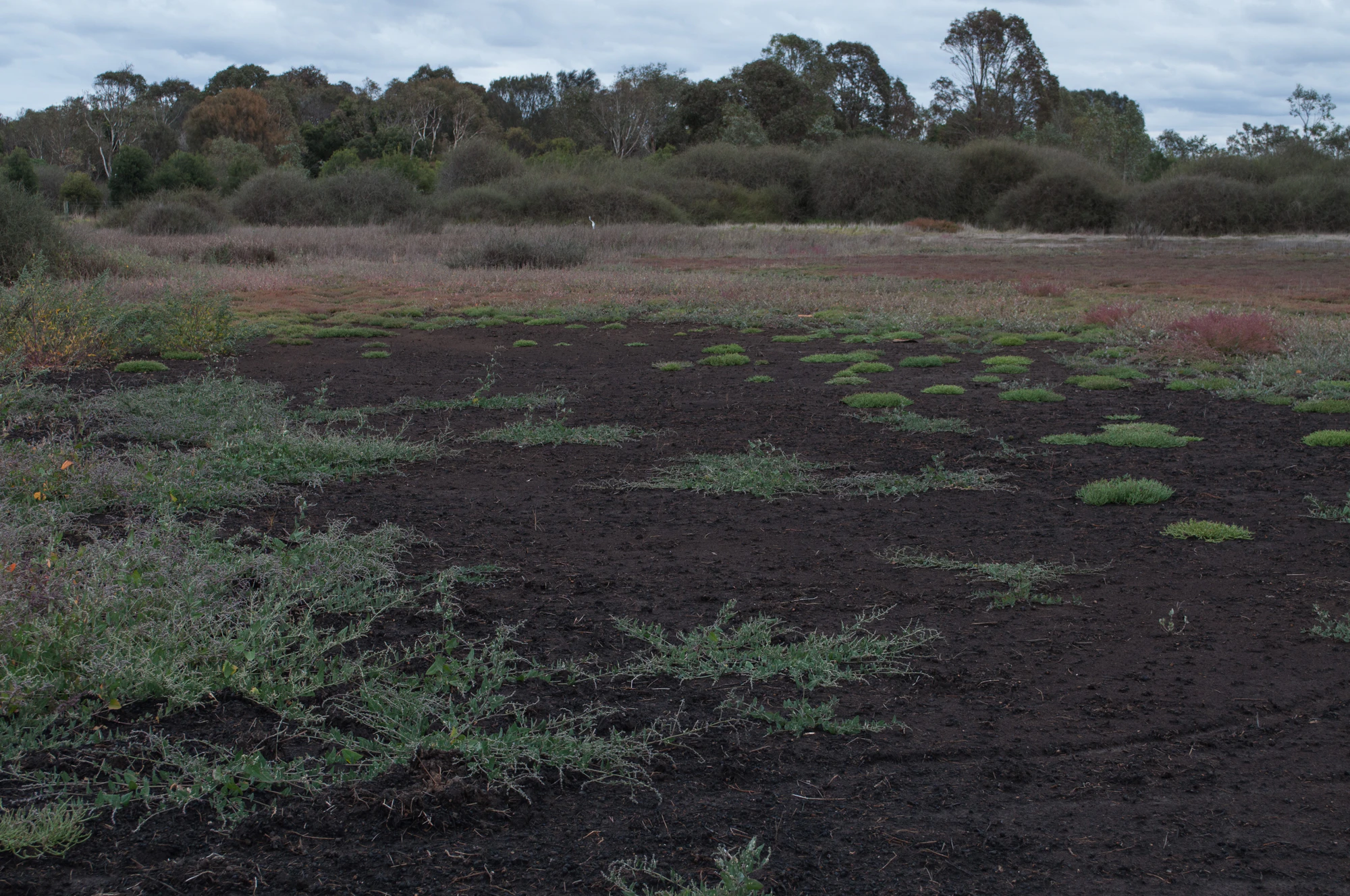 247 — Скачать