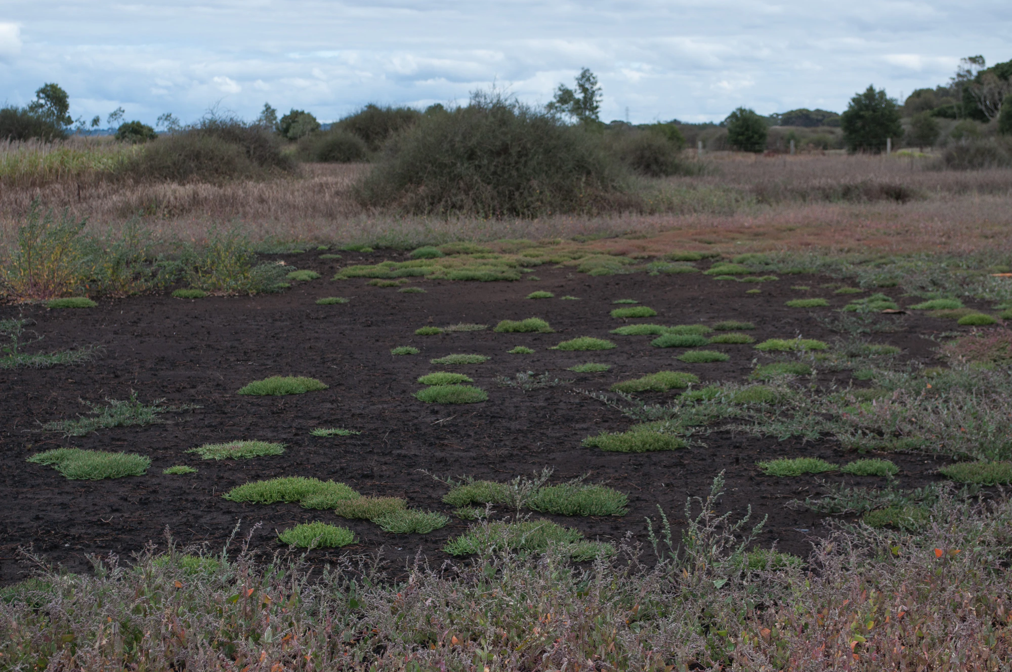 252 — Скачать