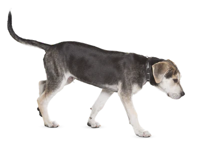 073 — Descargar