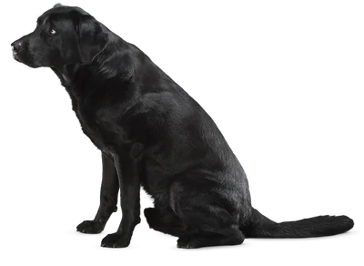 133 — Скачать