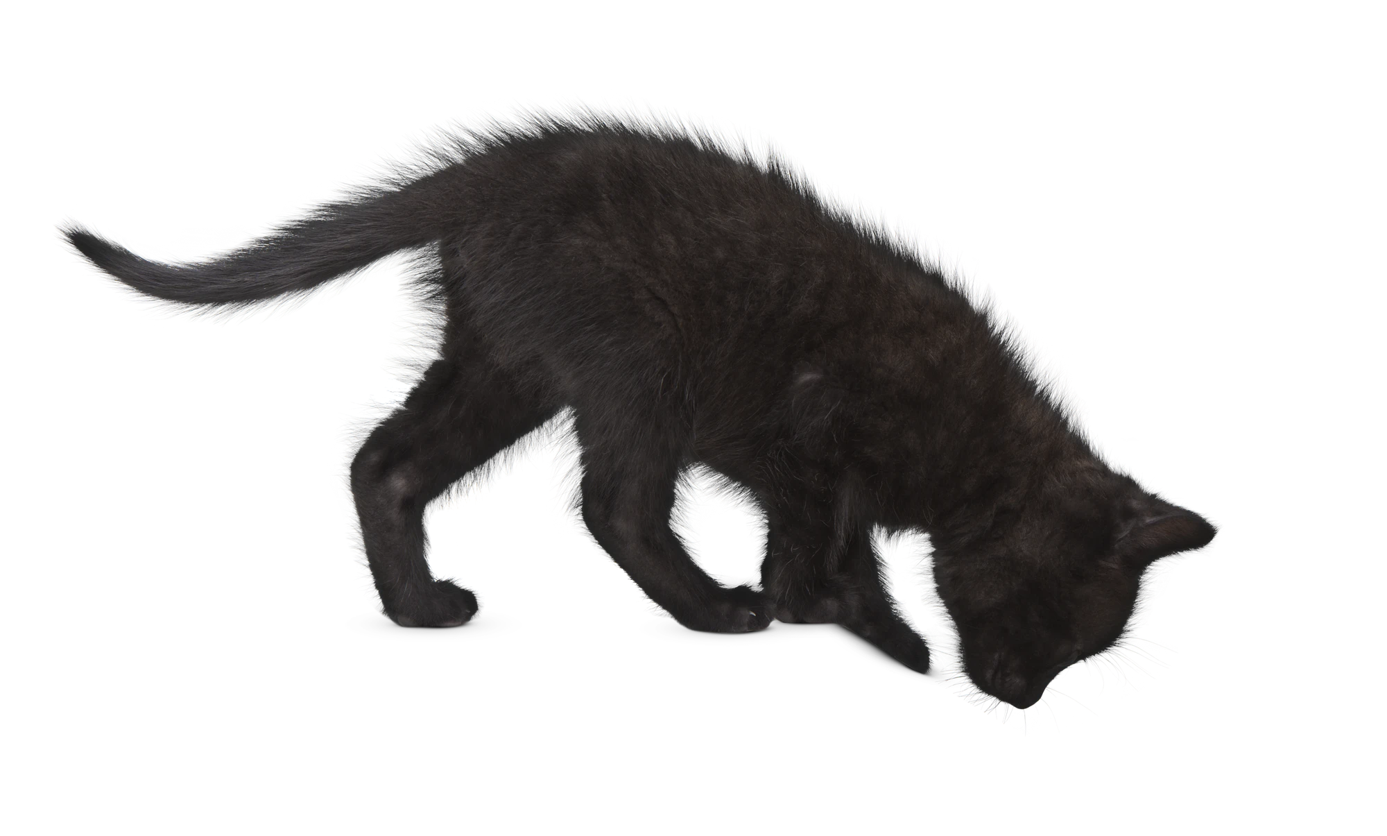 157 — Скачать