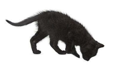 157 — Скачать