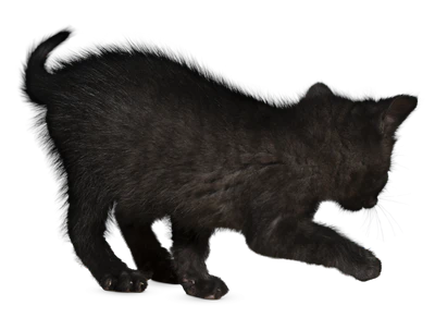 395 — Скачать