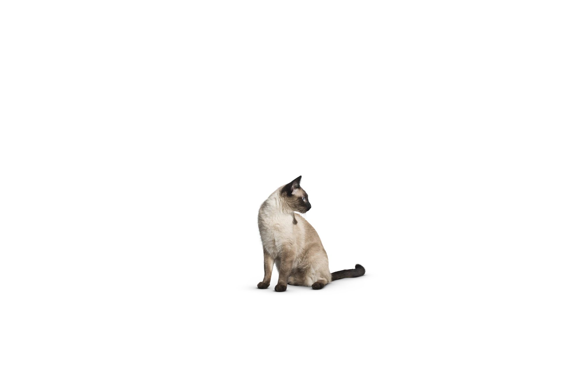 422 — Скачать