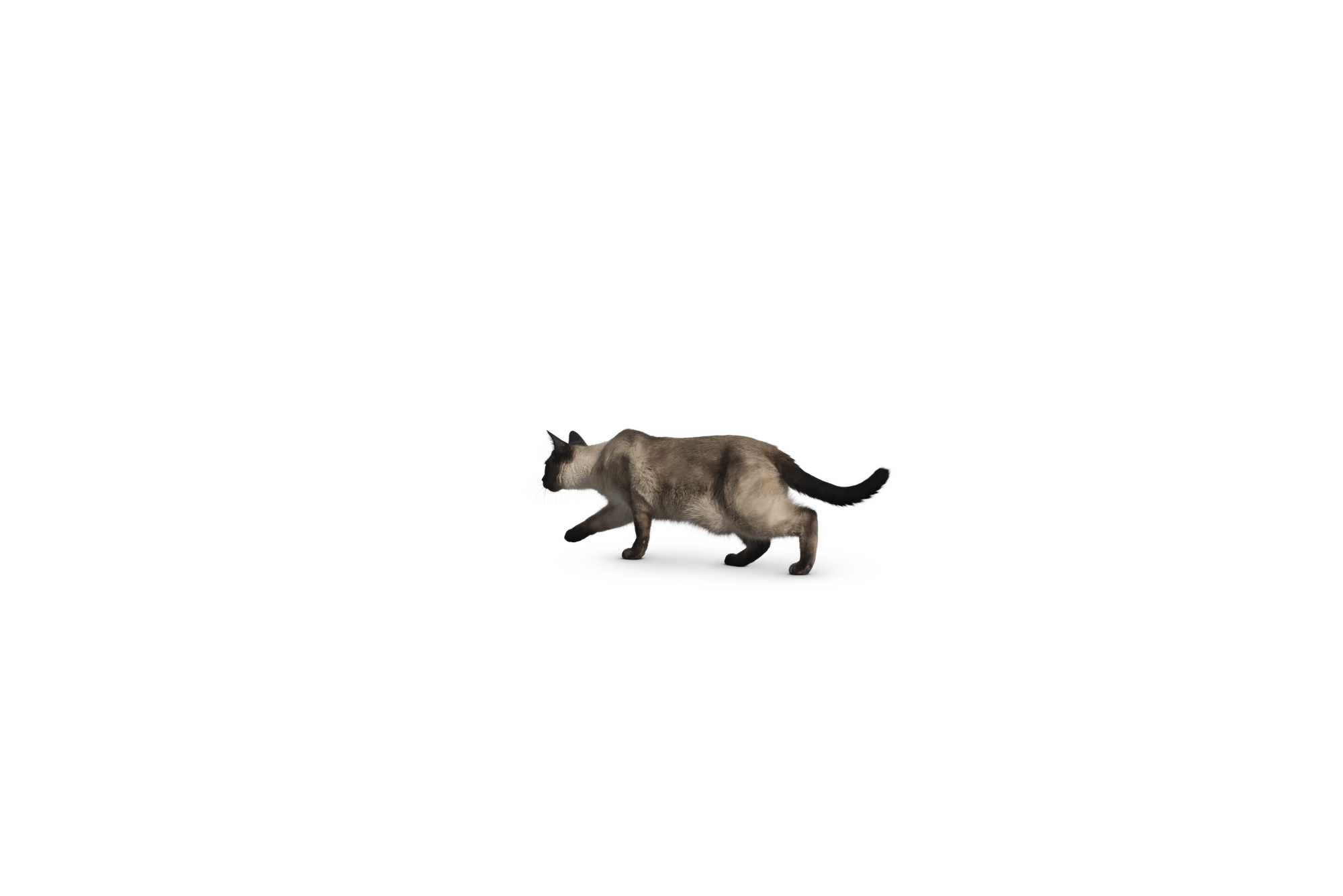 424 — Скачать
