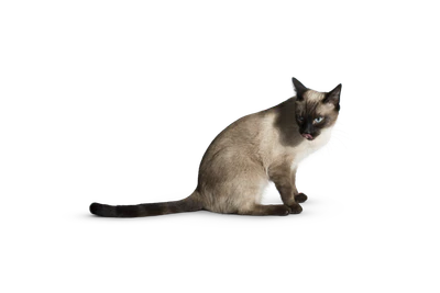 426 — Скачать