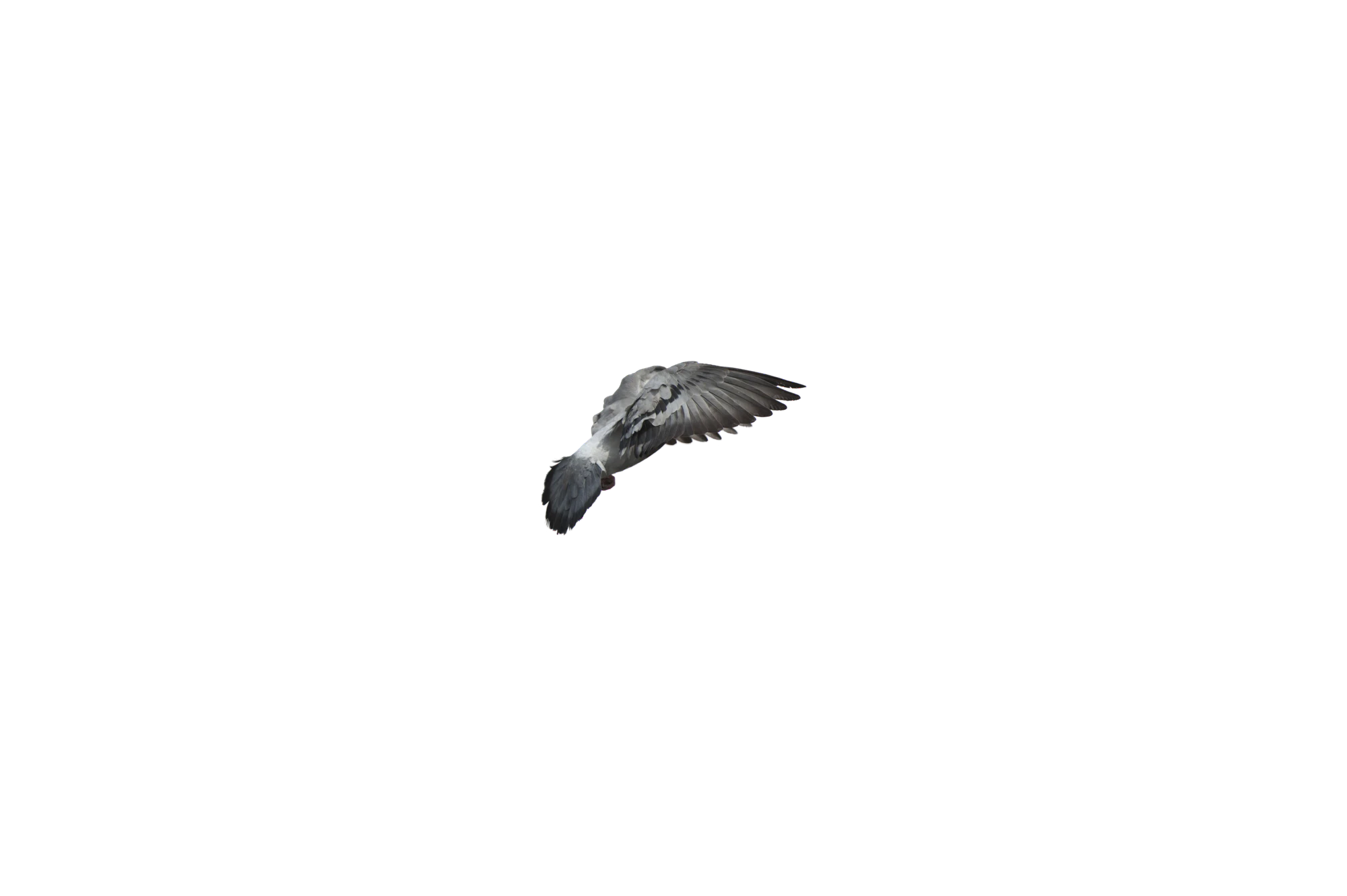 453 — Скачать