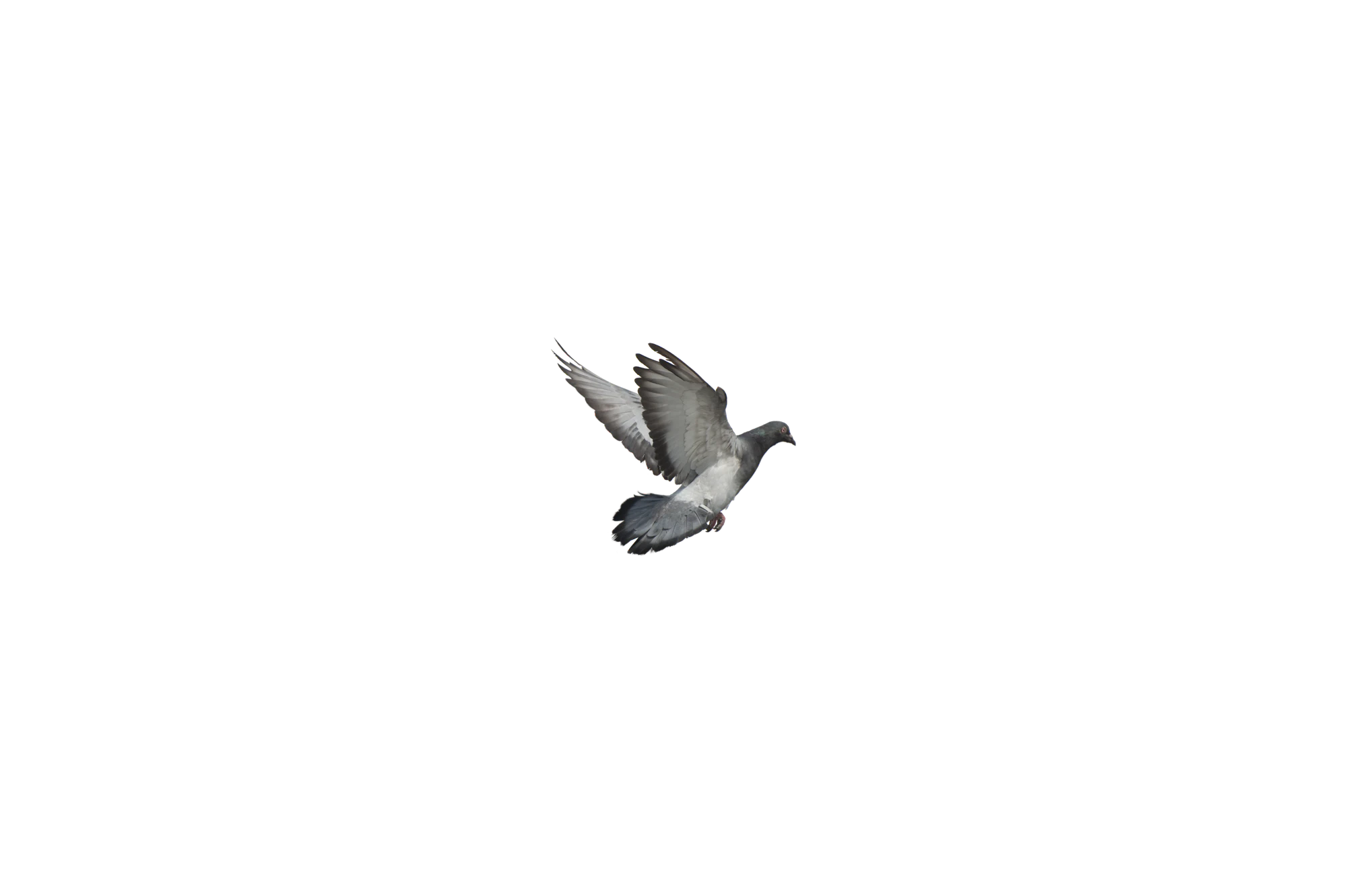 454 — Скачать