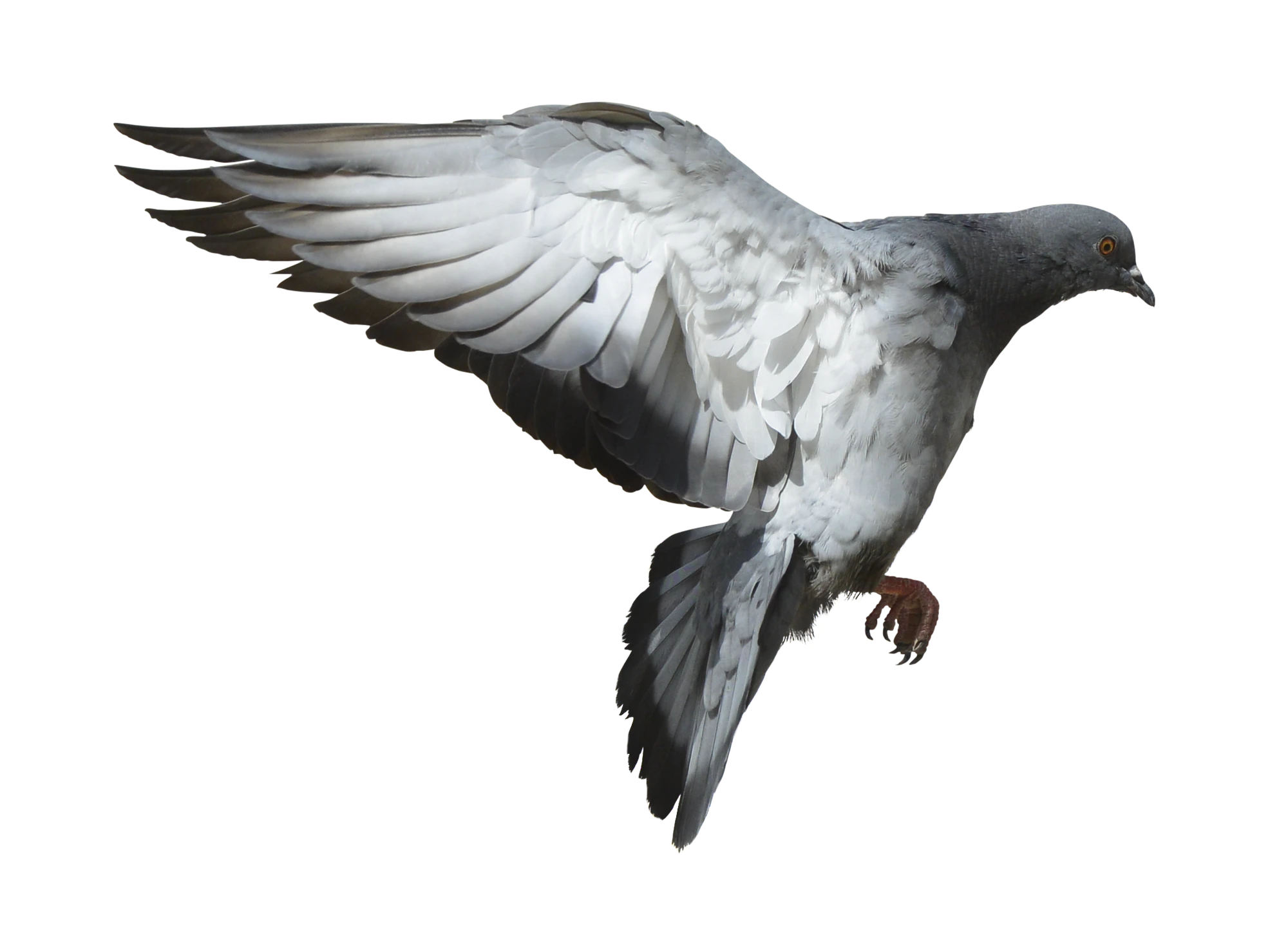 465 — Скачать