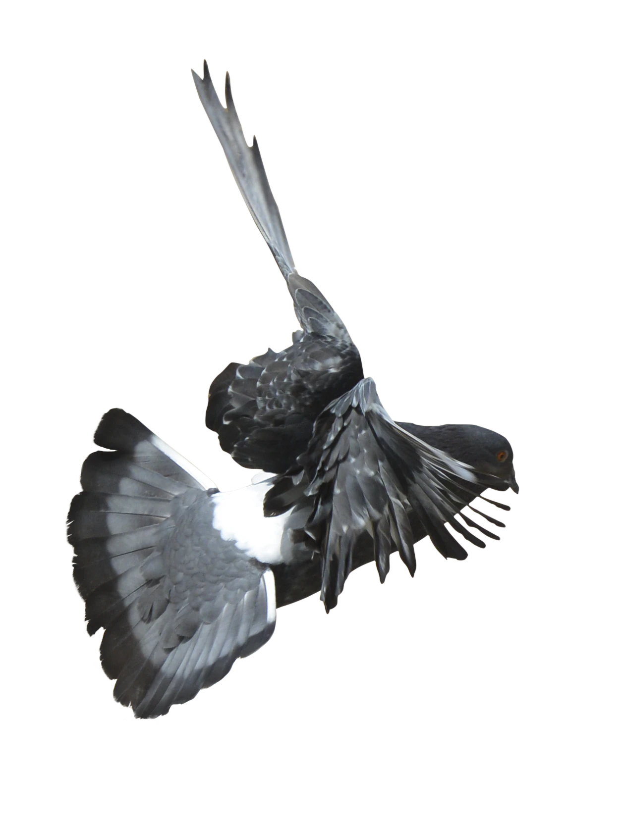 466 — Download