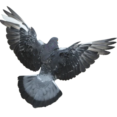 473 — Скачать