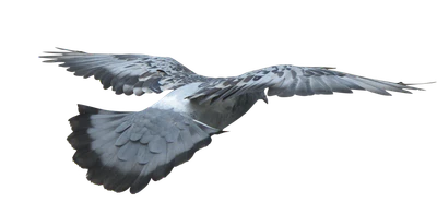 475 — Скачать