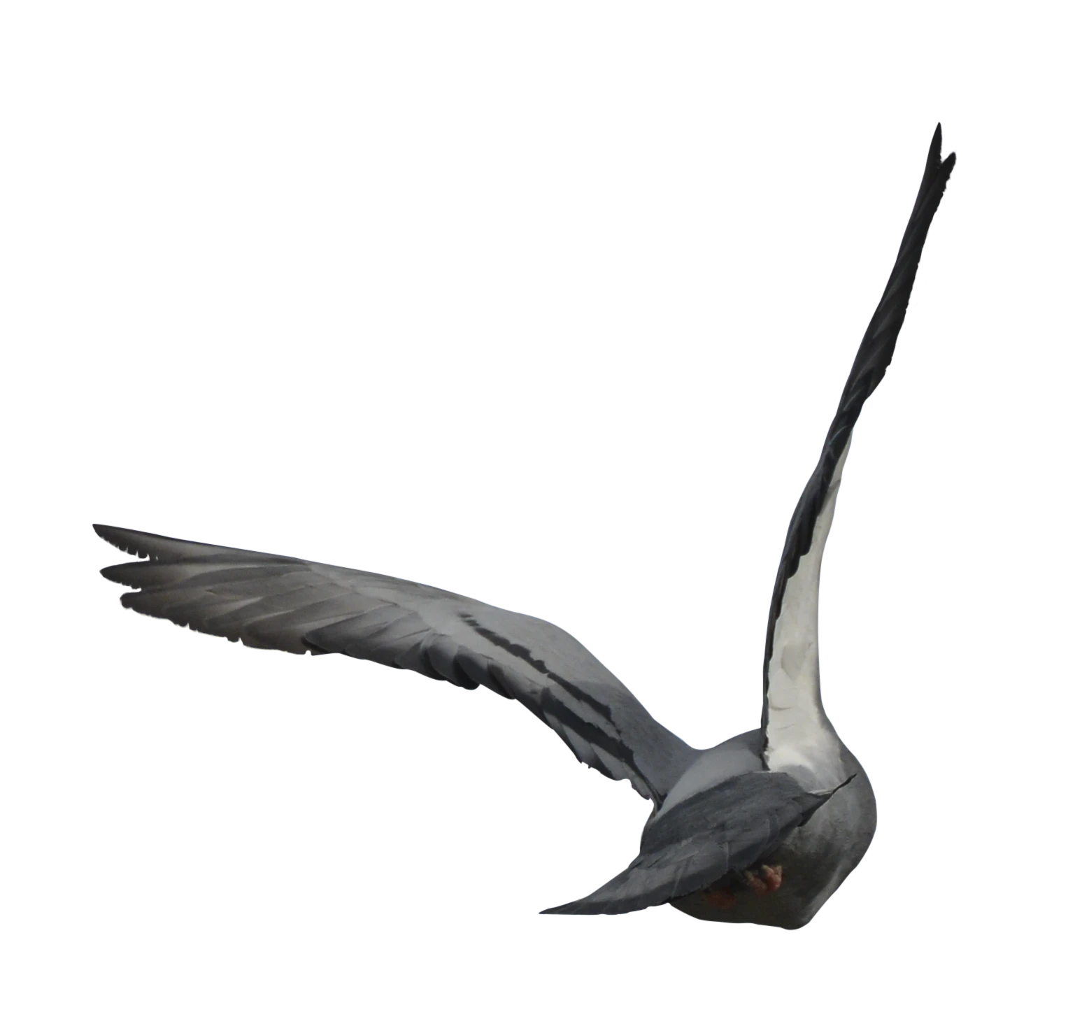 480 — Скачать