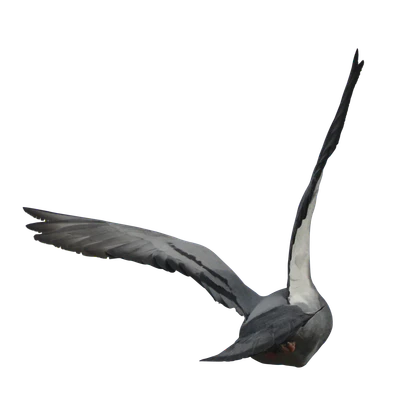 480 — Скачать